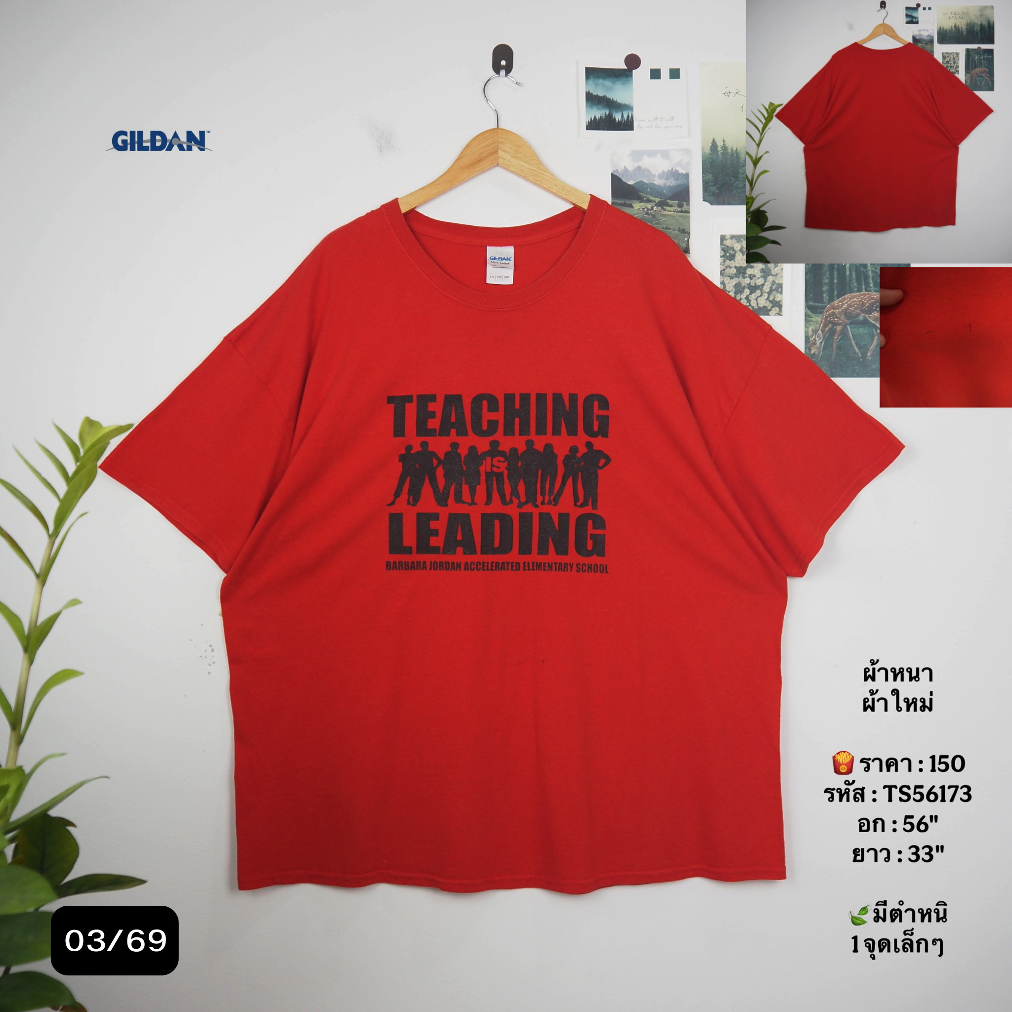 TS56173