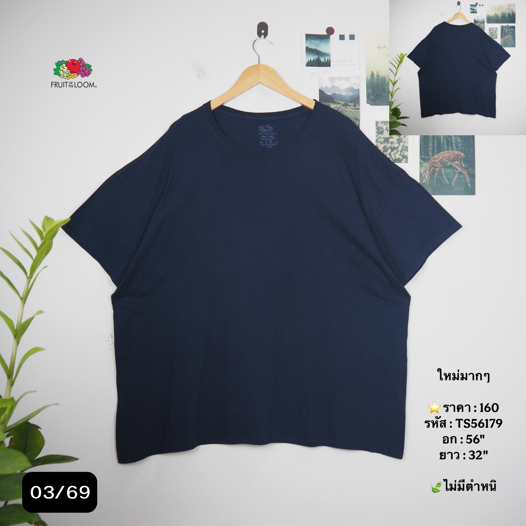 TS56179