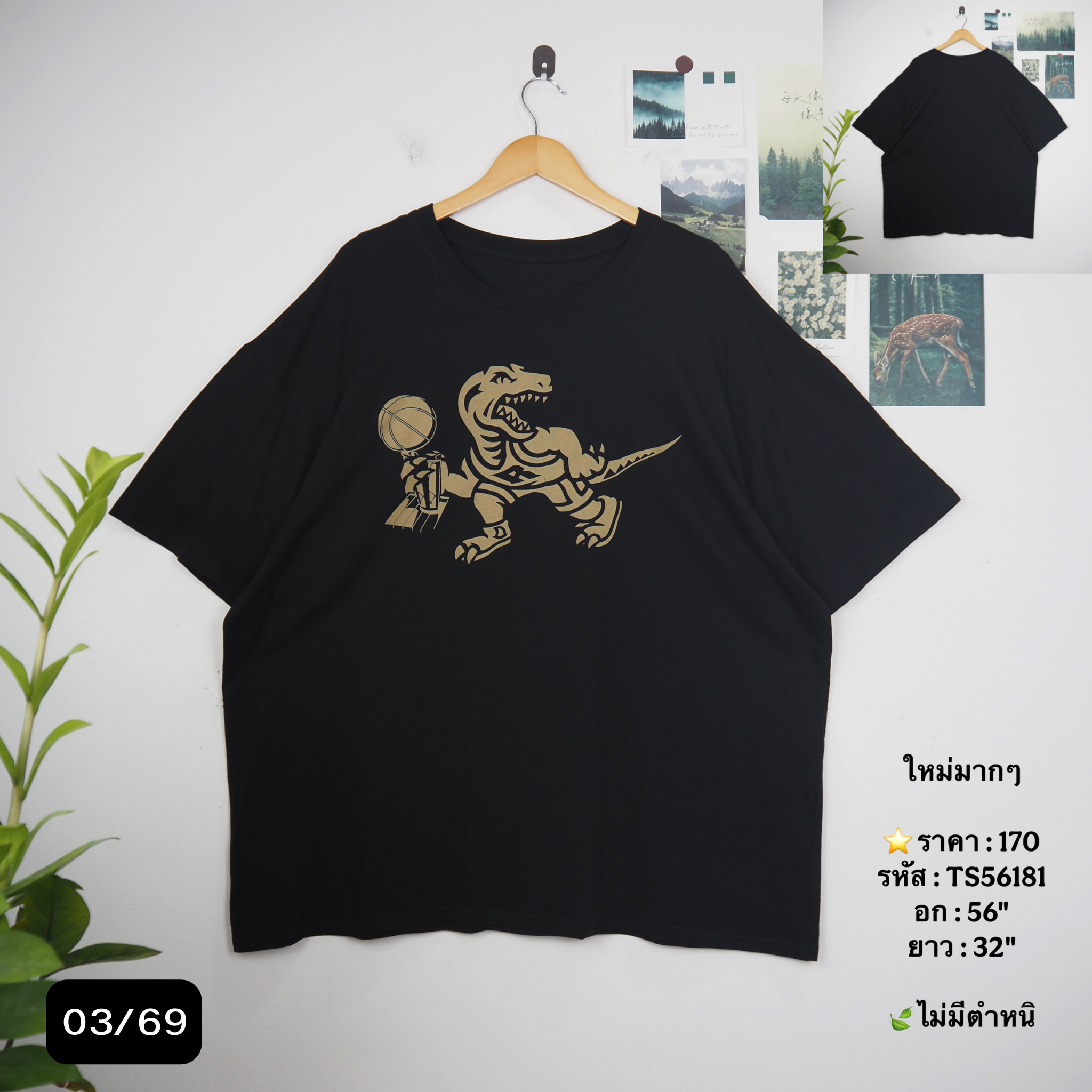 TS56181