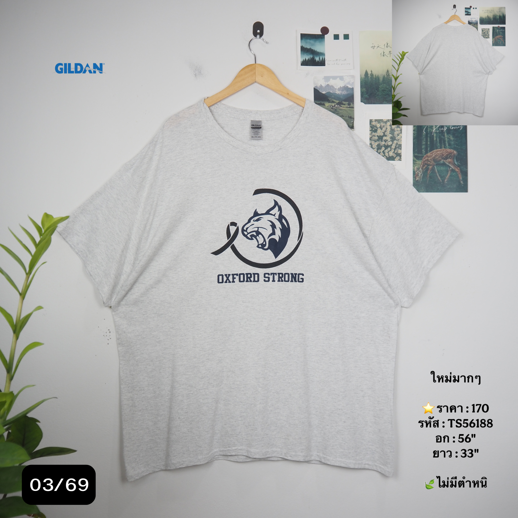 TS56188