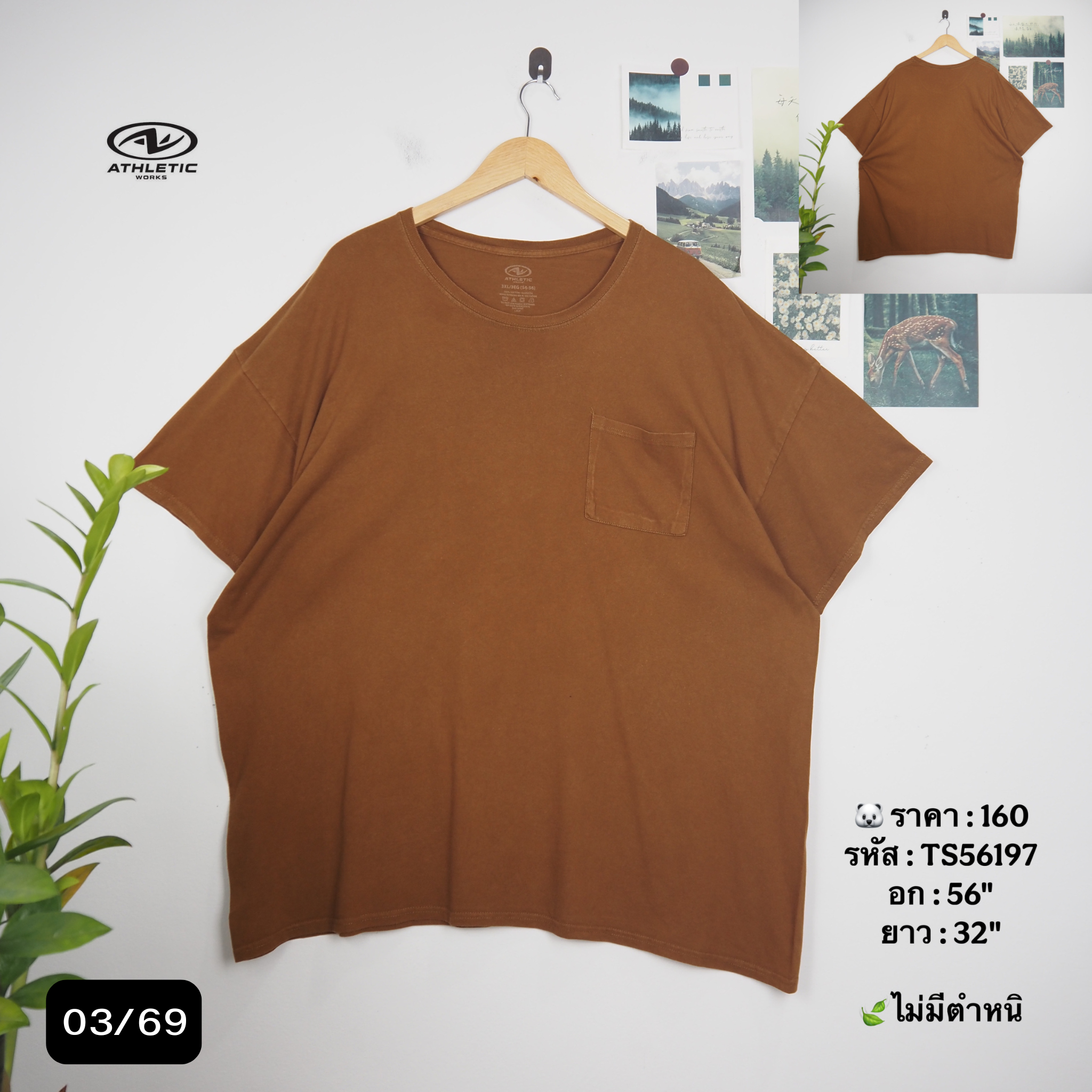 TS56197