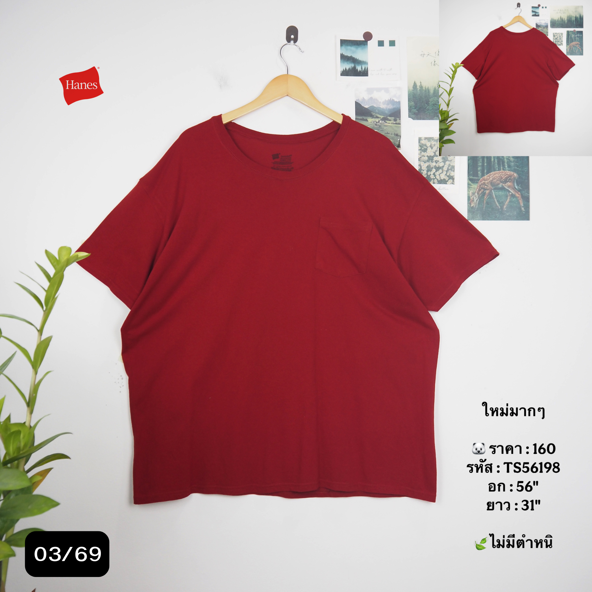 TS56198