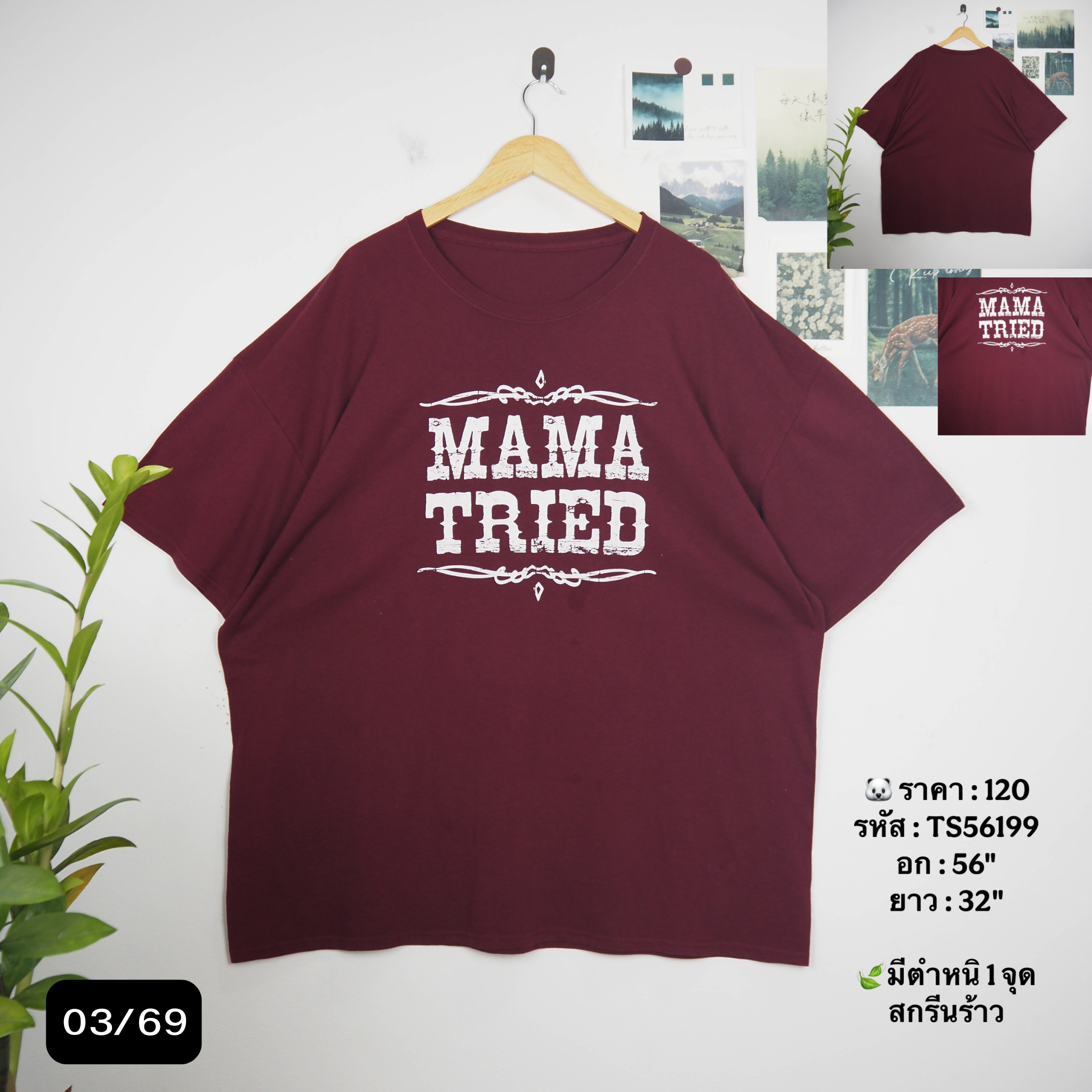 TS56199