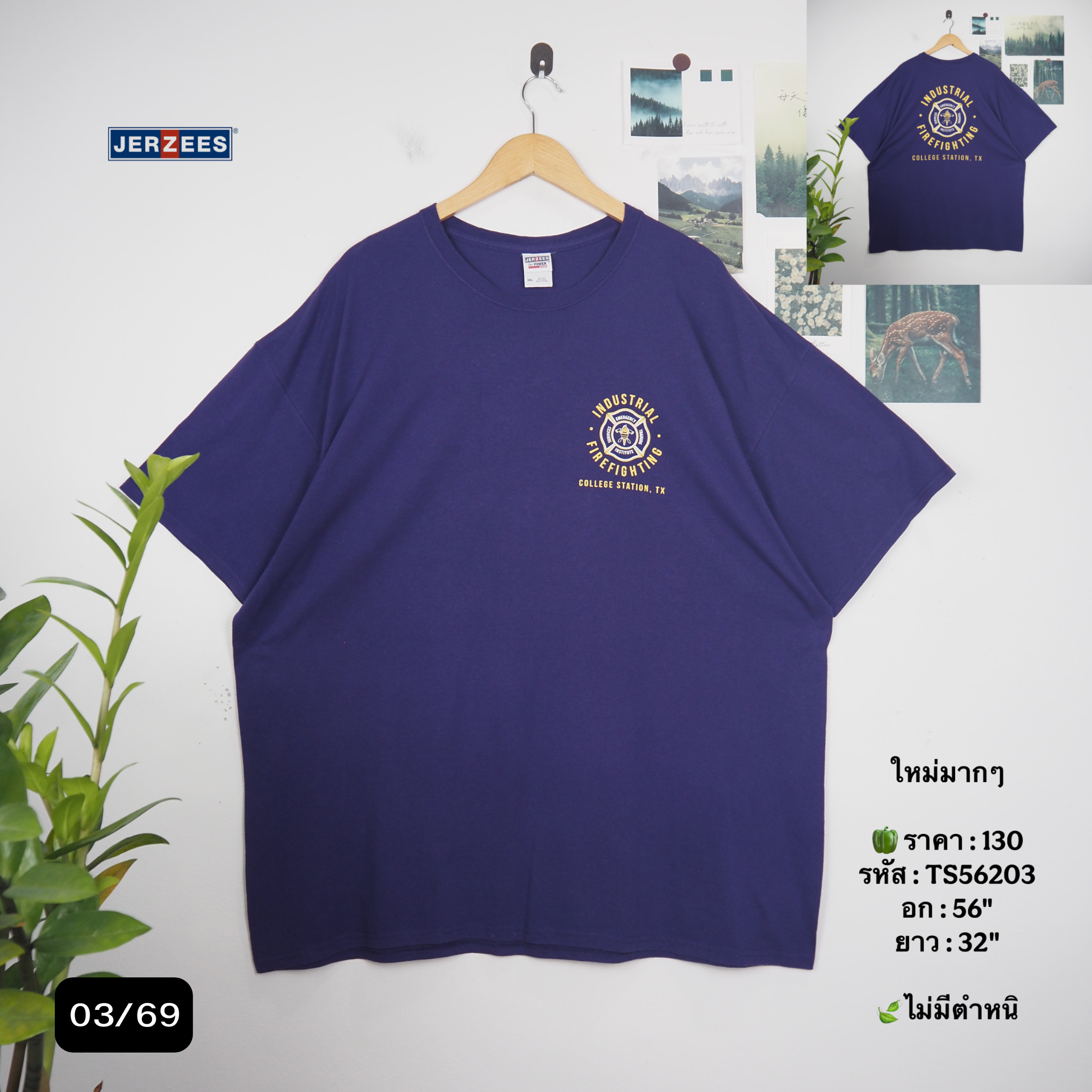 TS56203