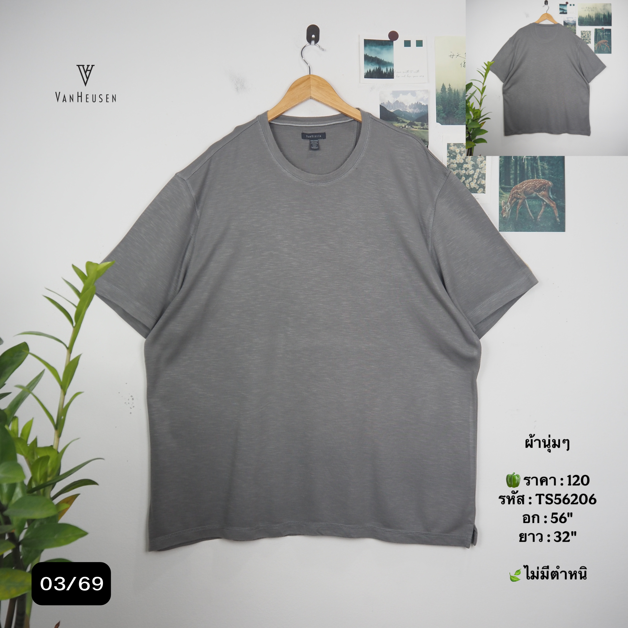 TS56206