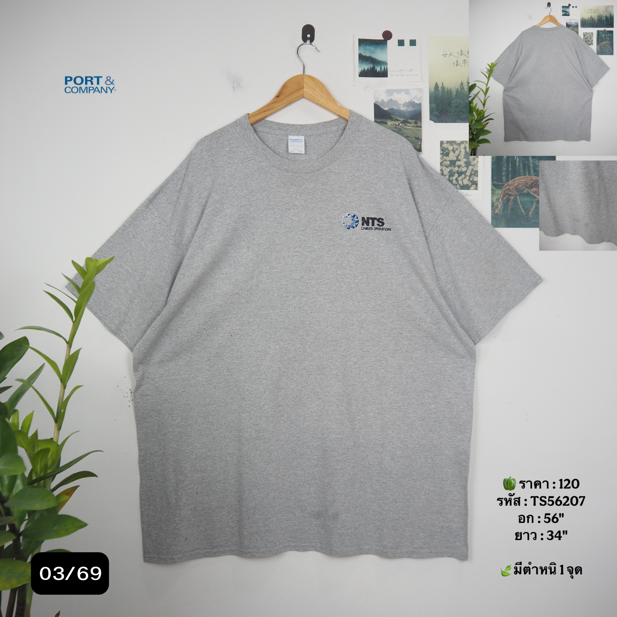 TS56207