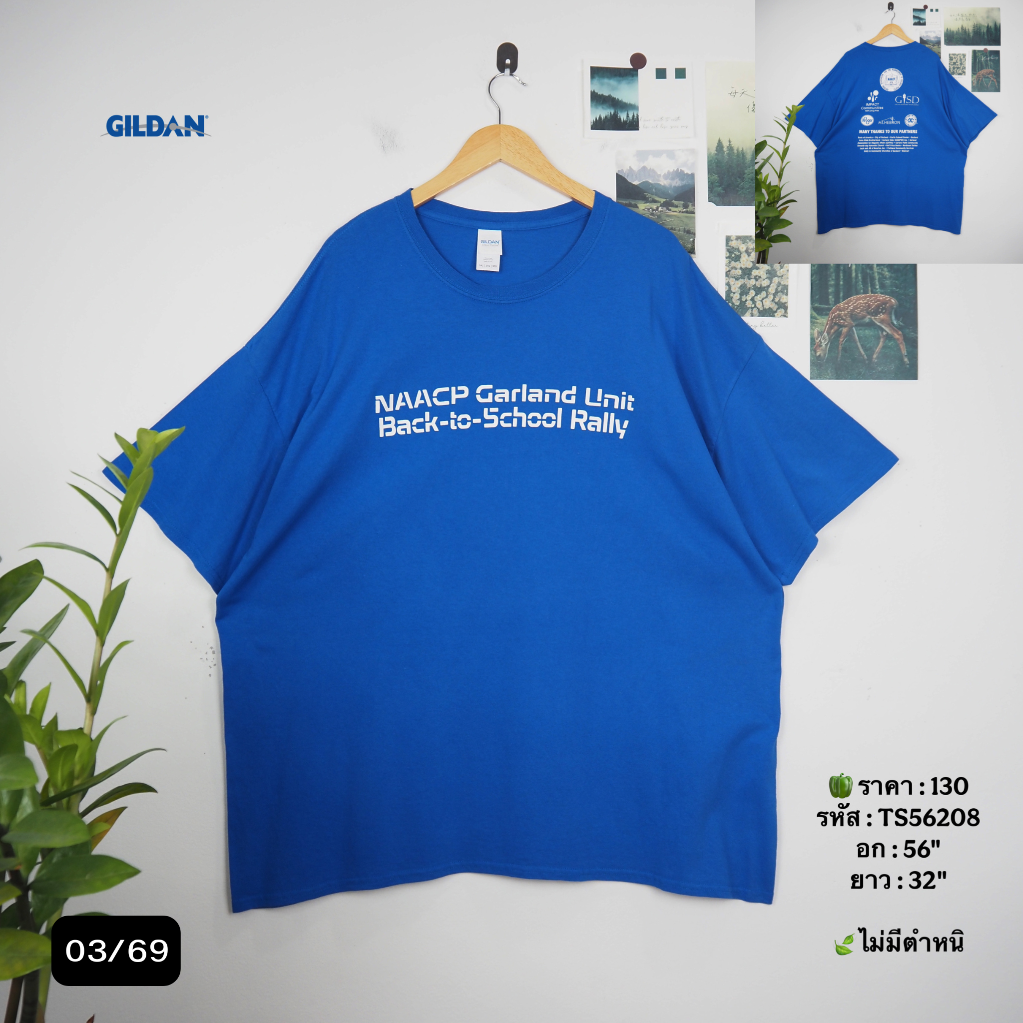 TS56208