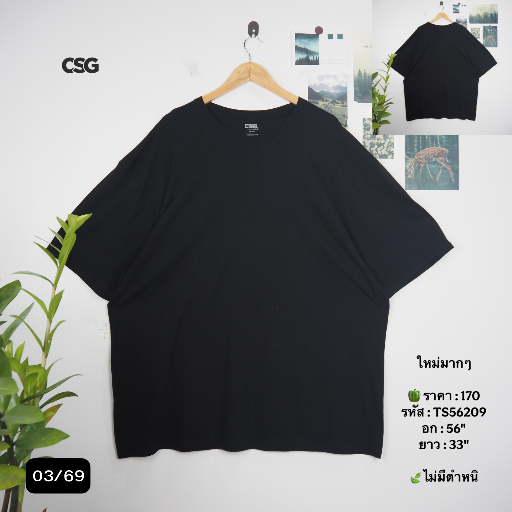 TS56209