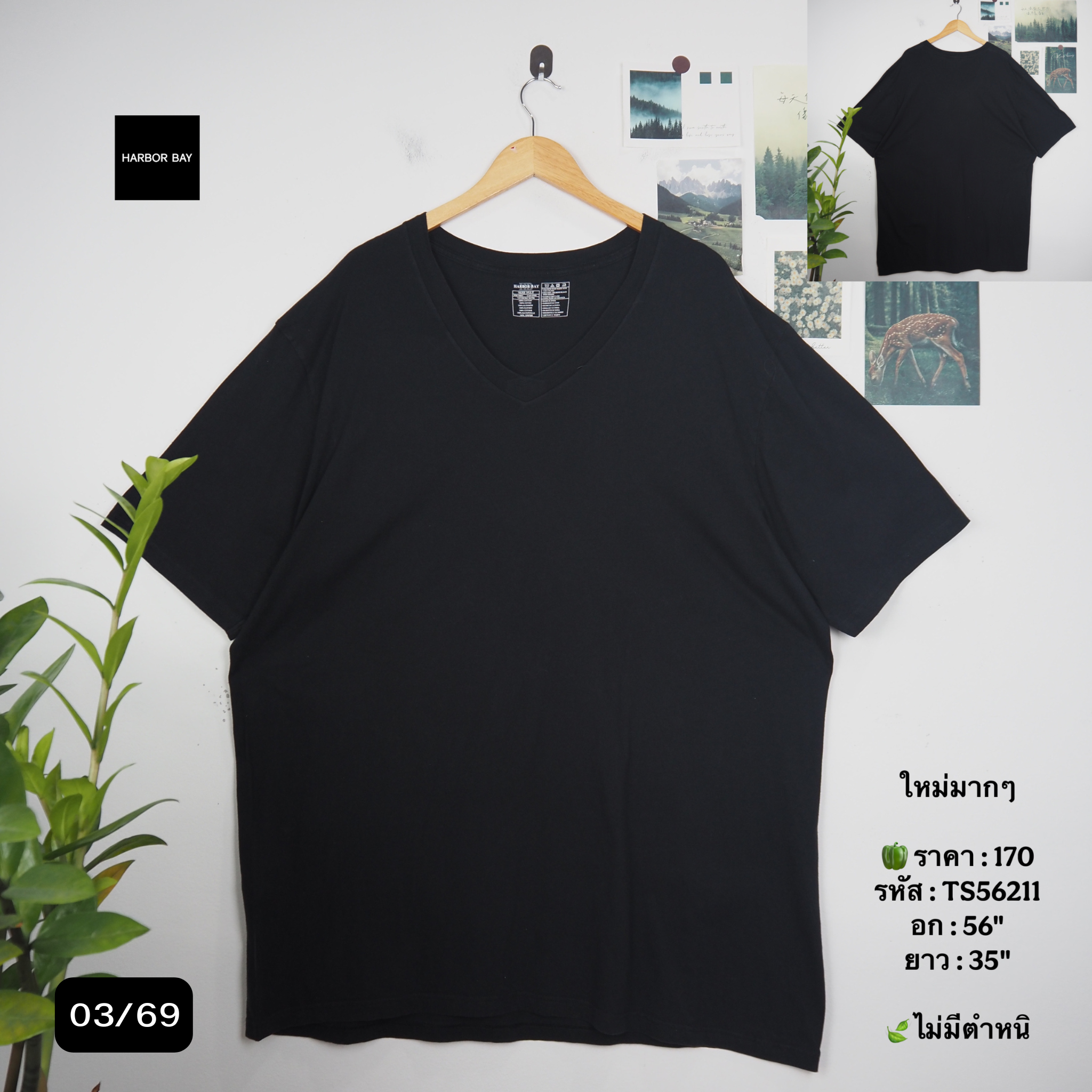 TS56211