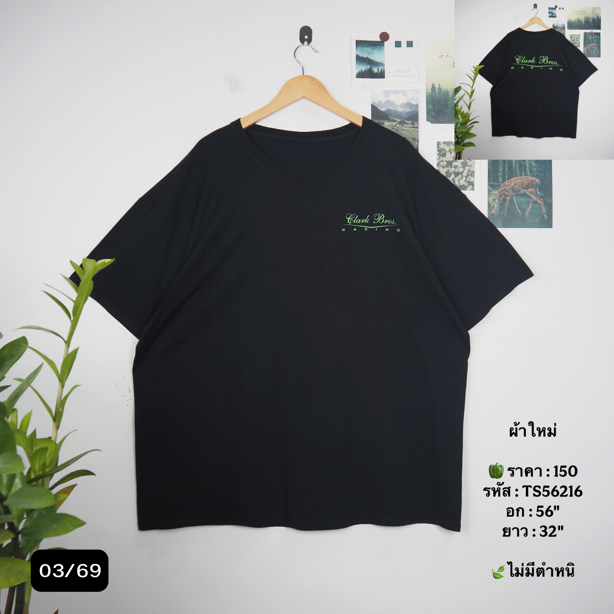 TS56216
