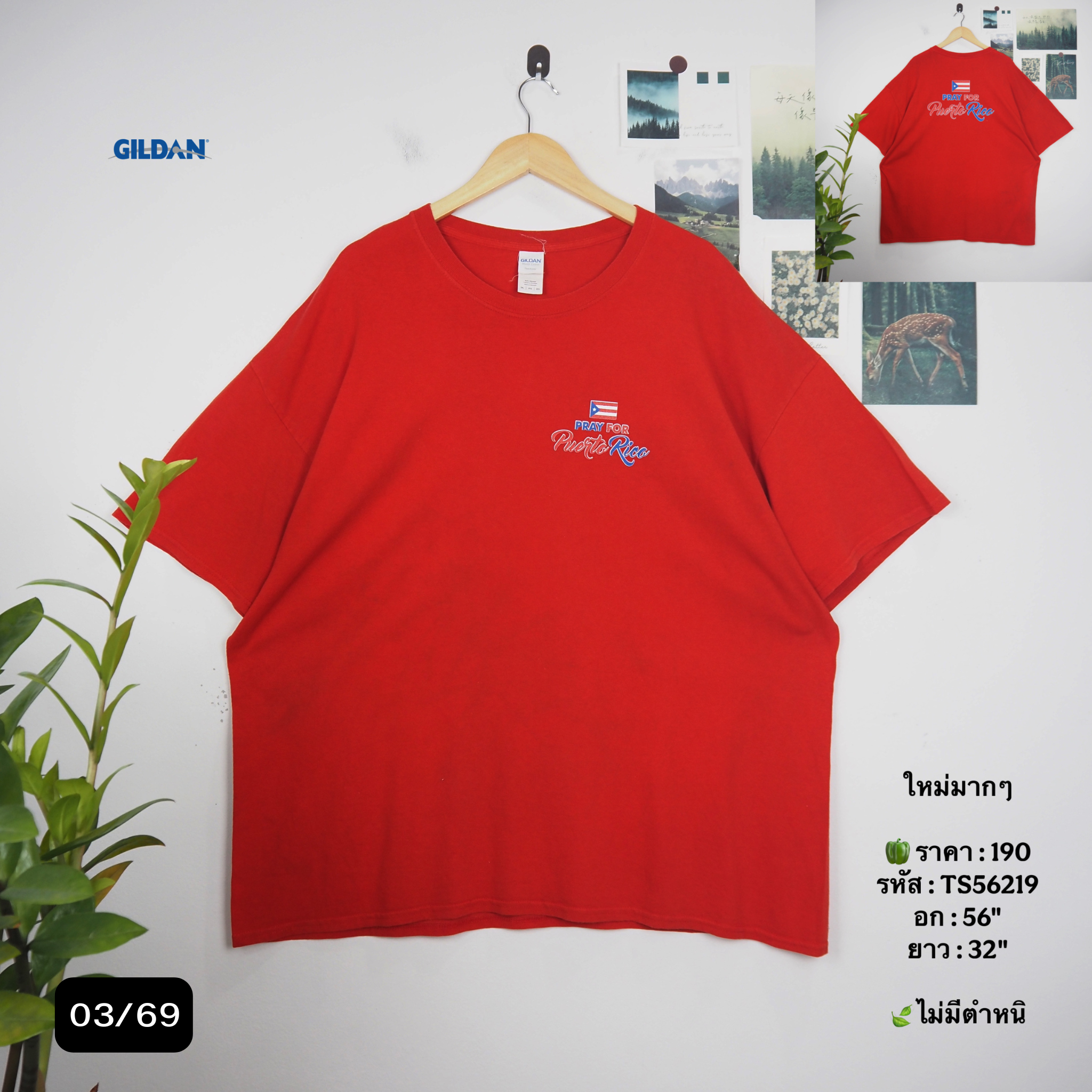 TS56219