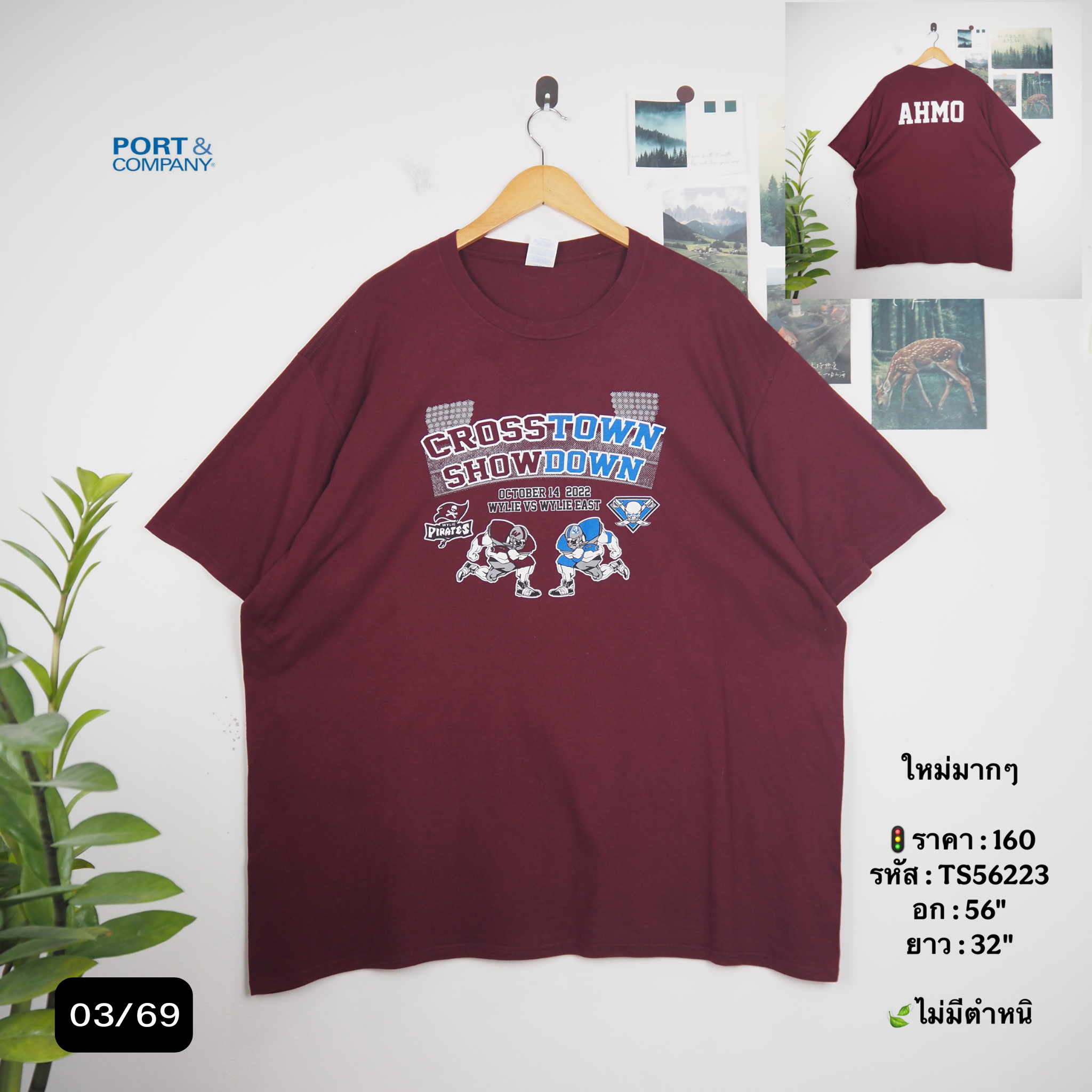 TS56223