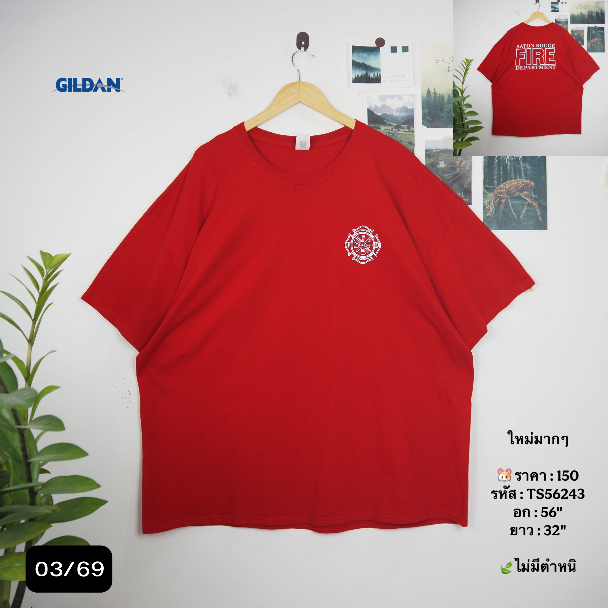 TS56243