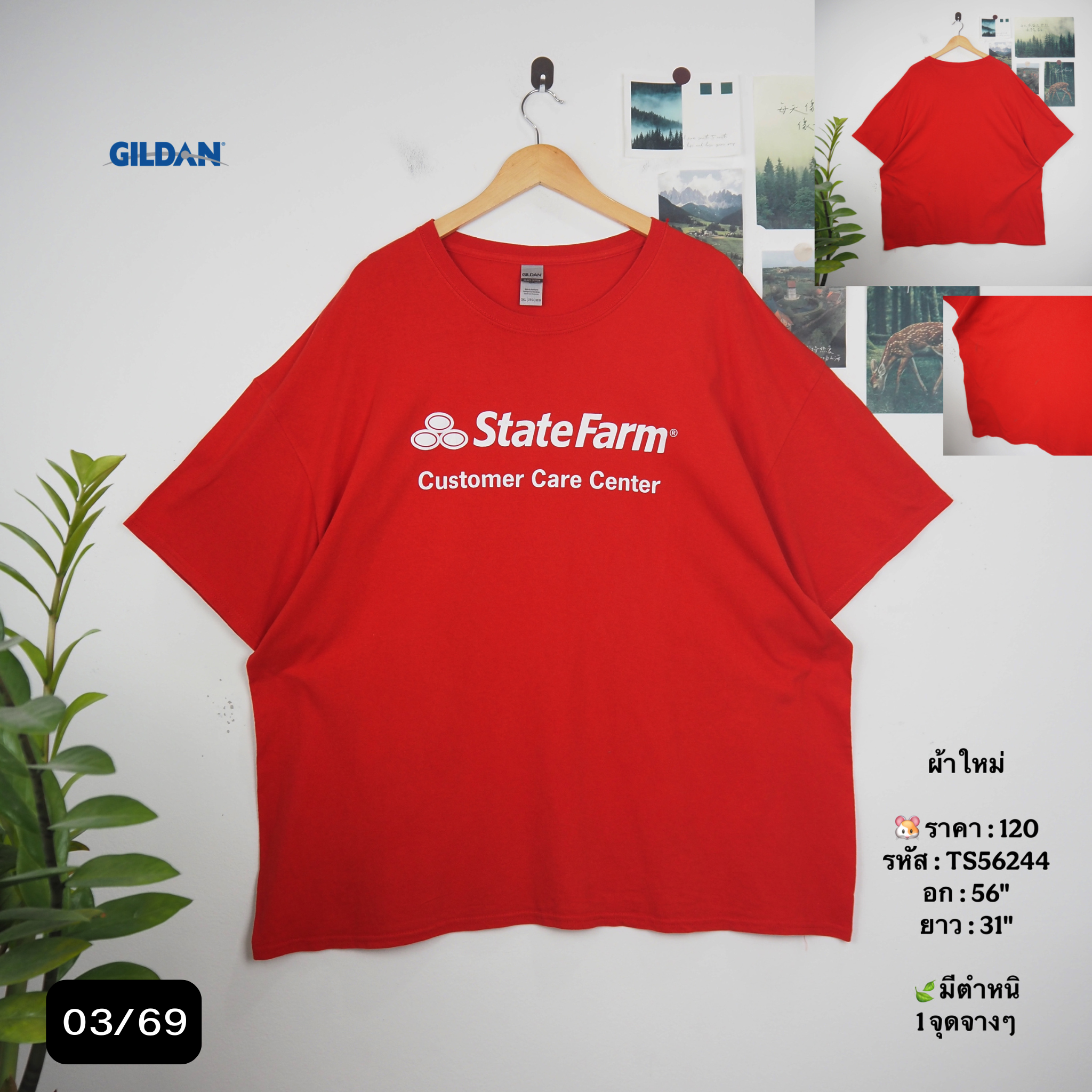 TS56244