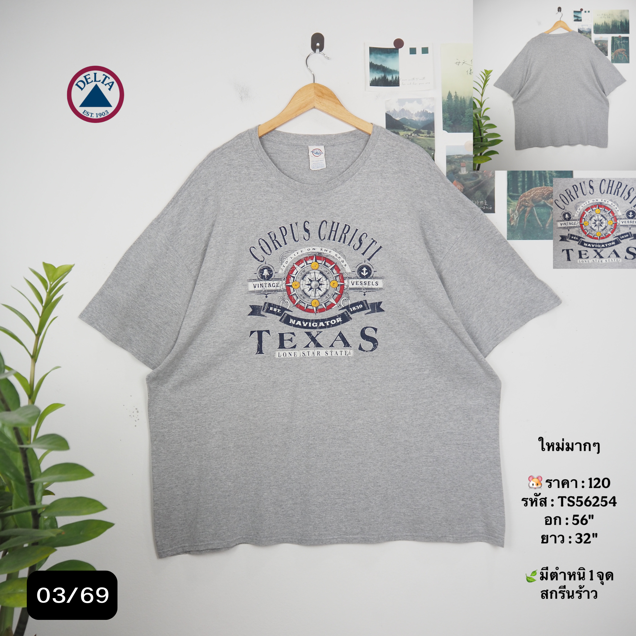 TS56254