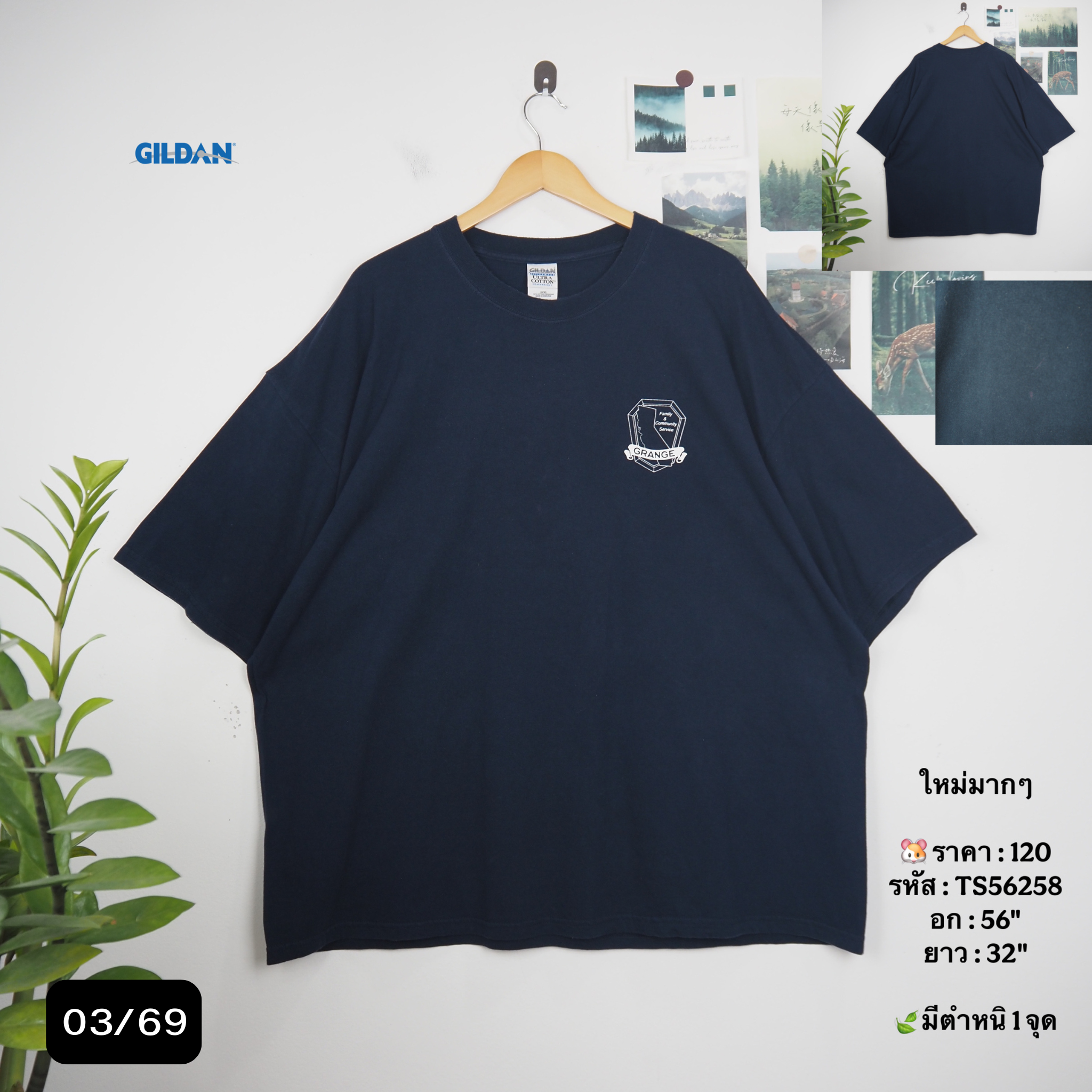 TS56258