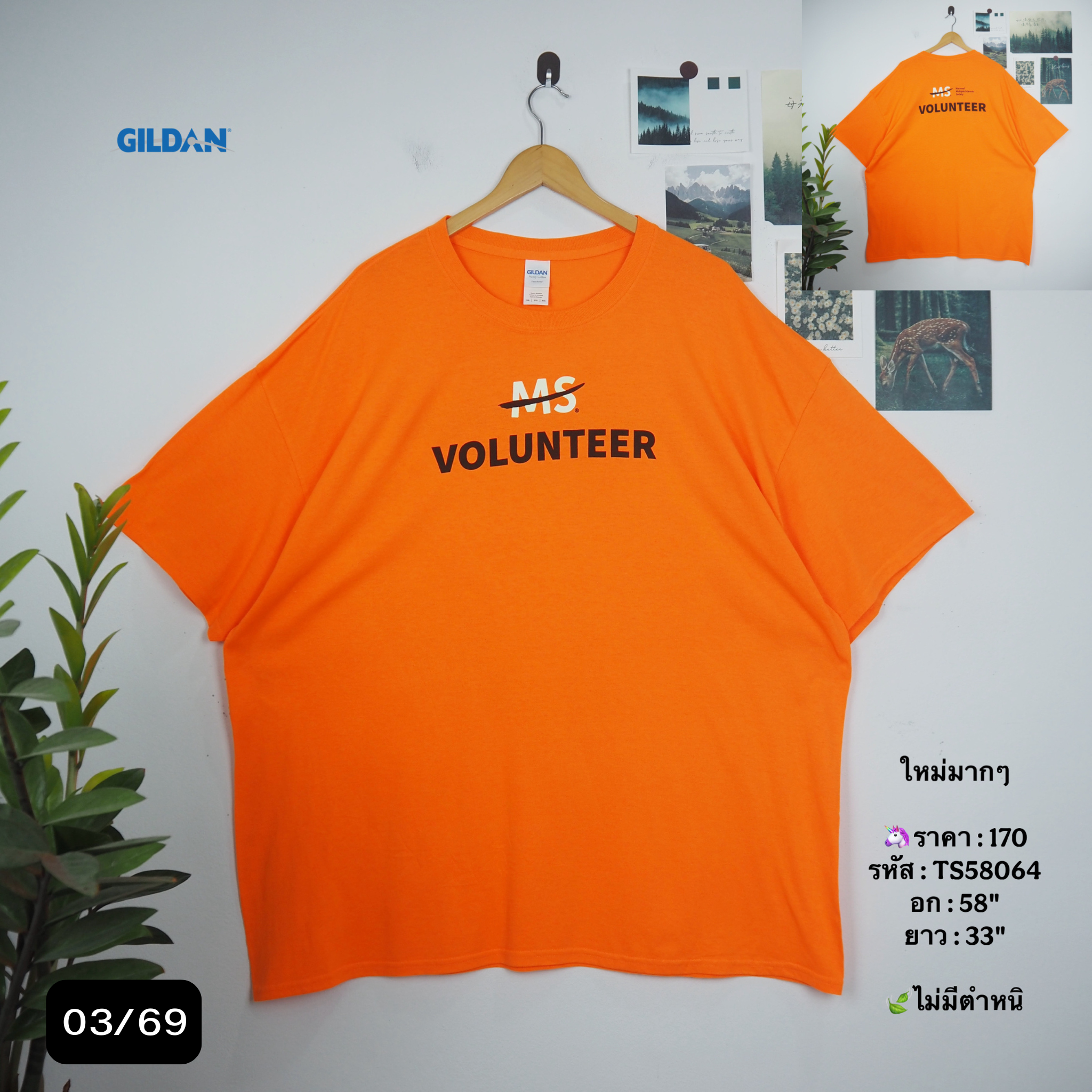TS58064