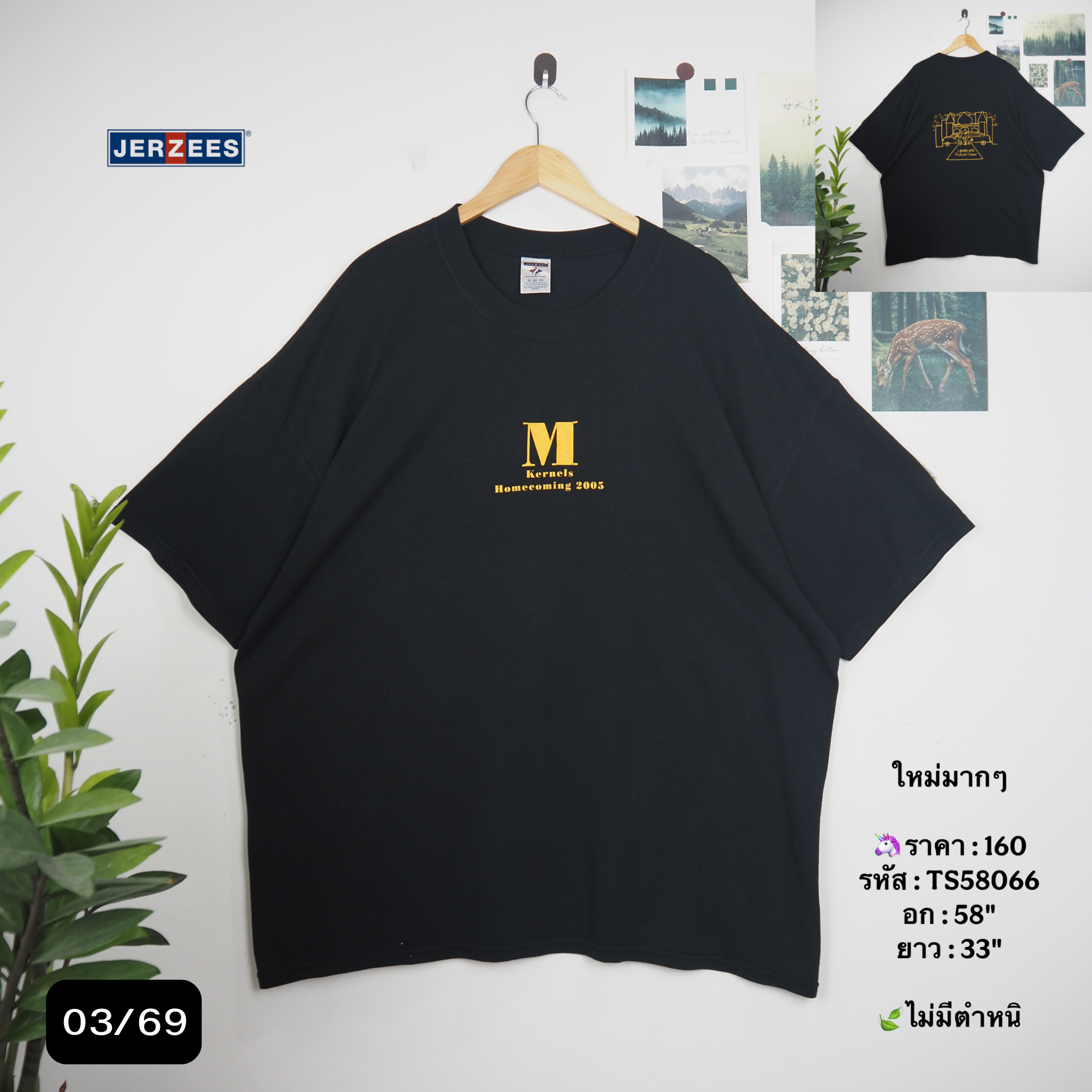 TS58066