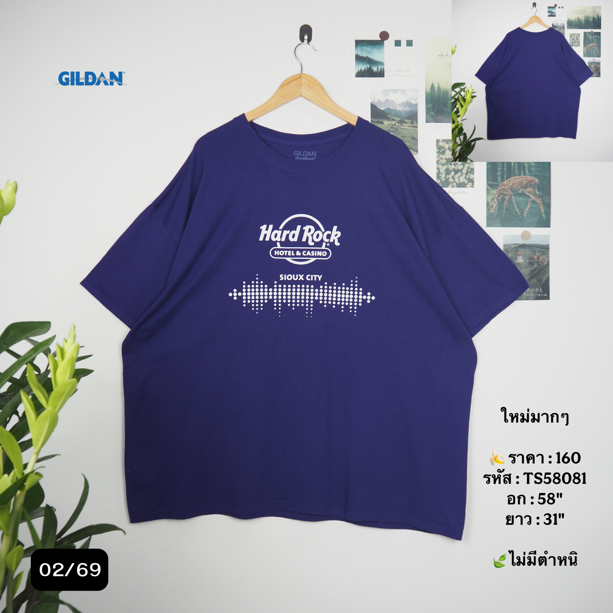 TS58081