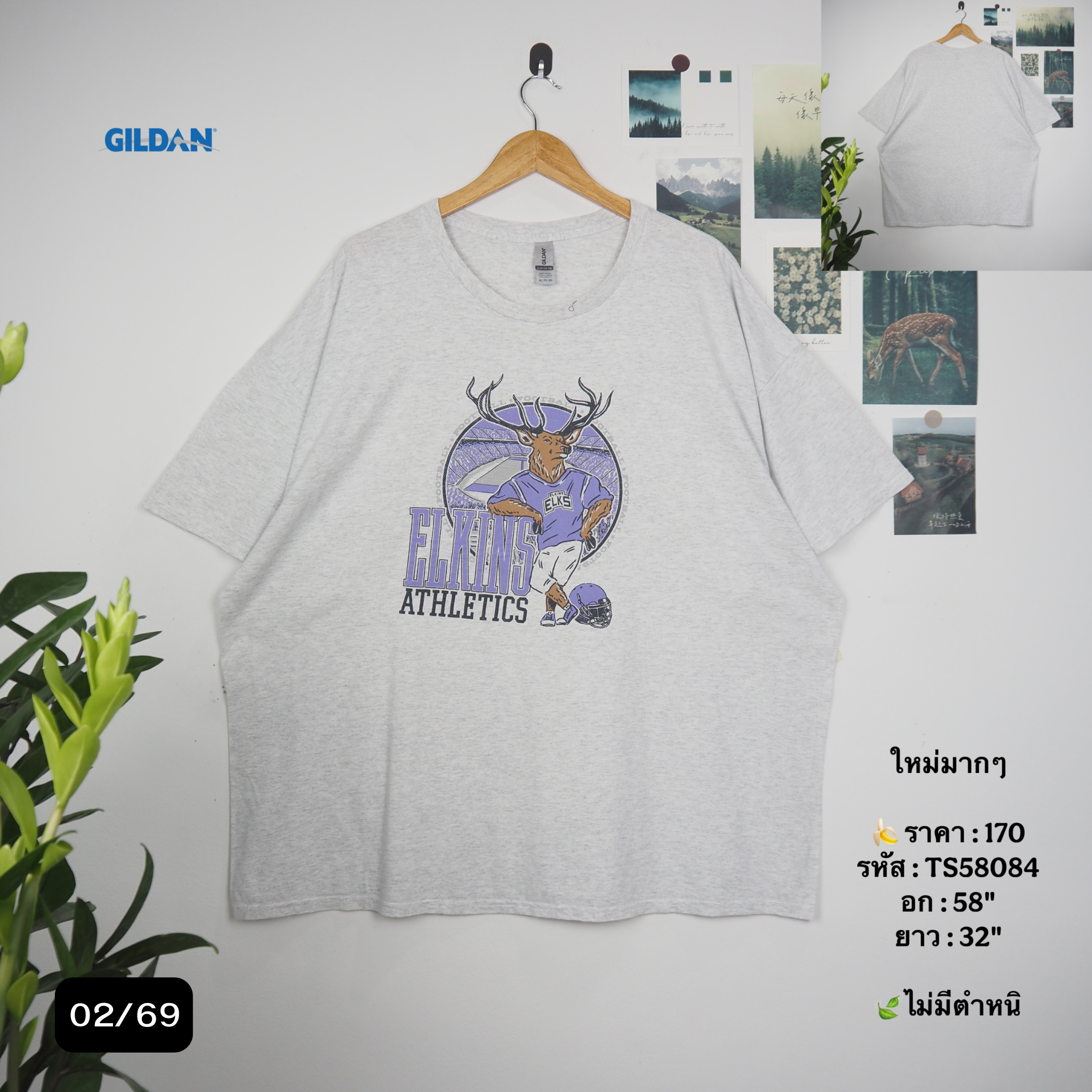 TS58084