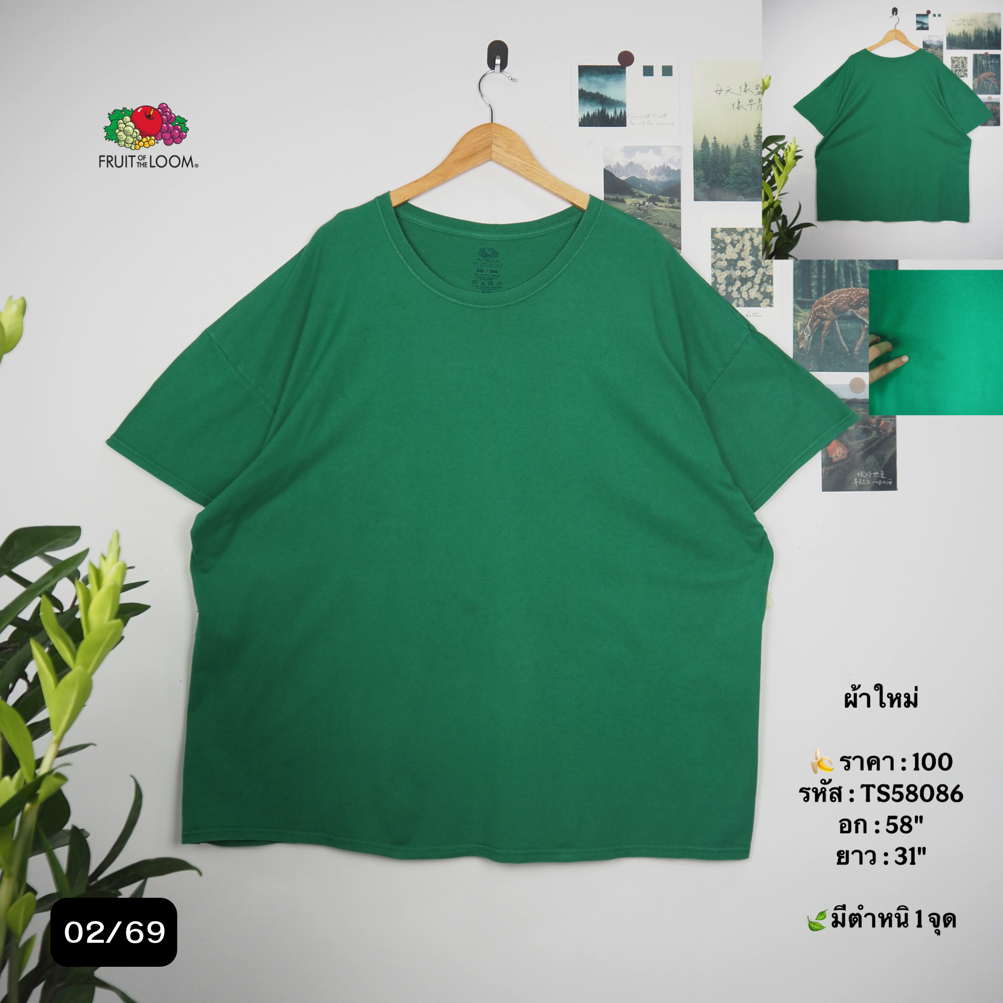 TS58086