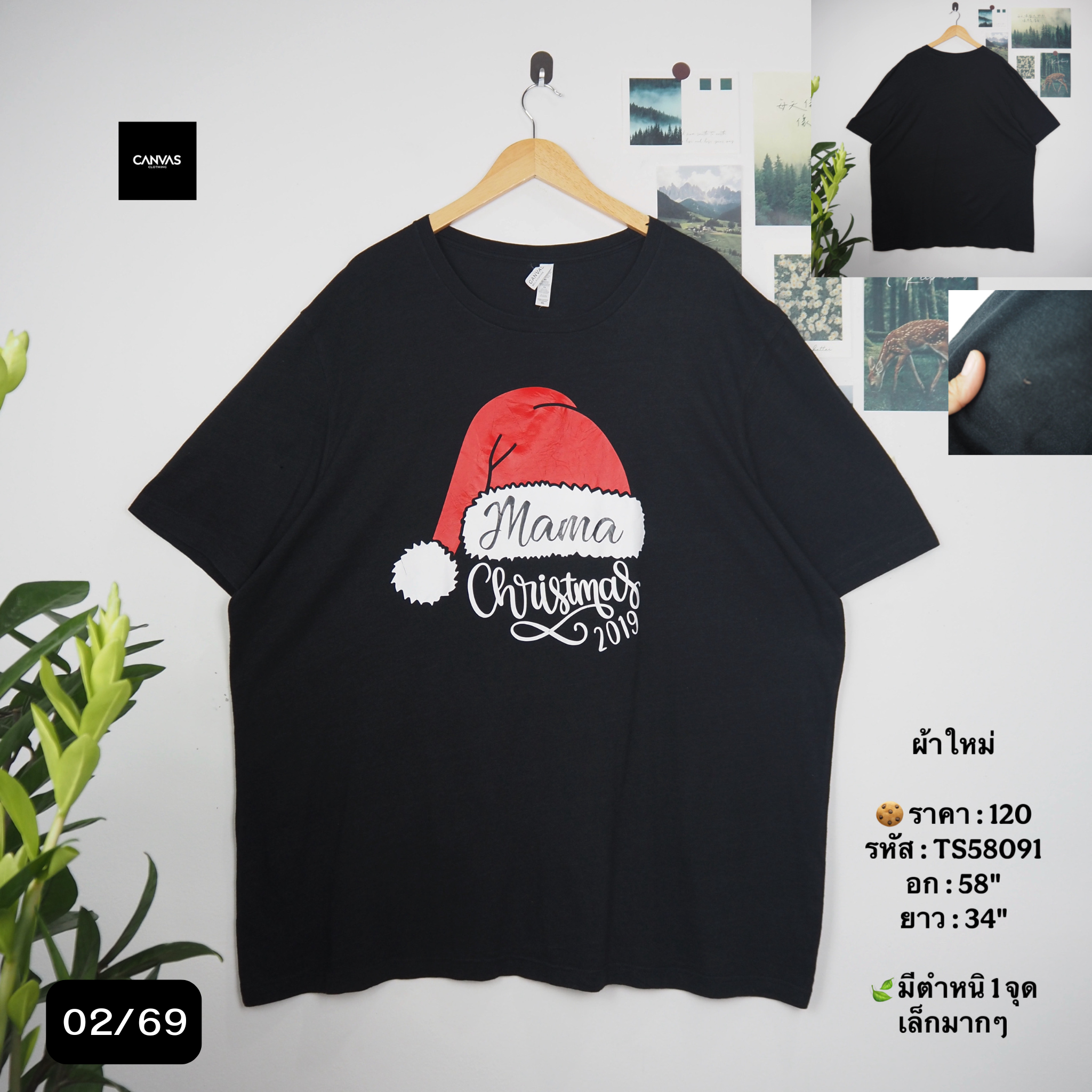 TS58091
