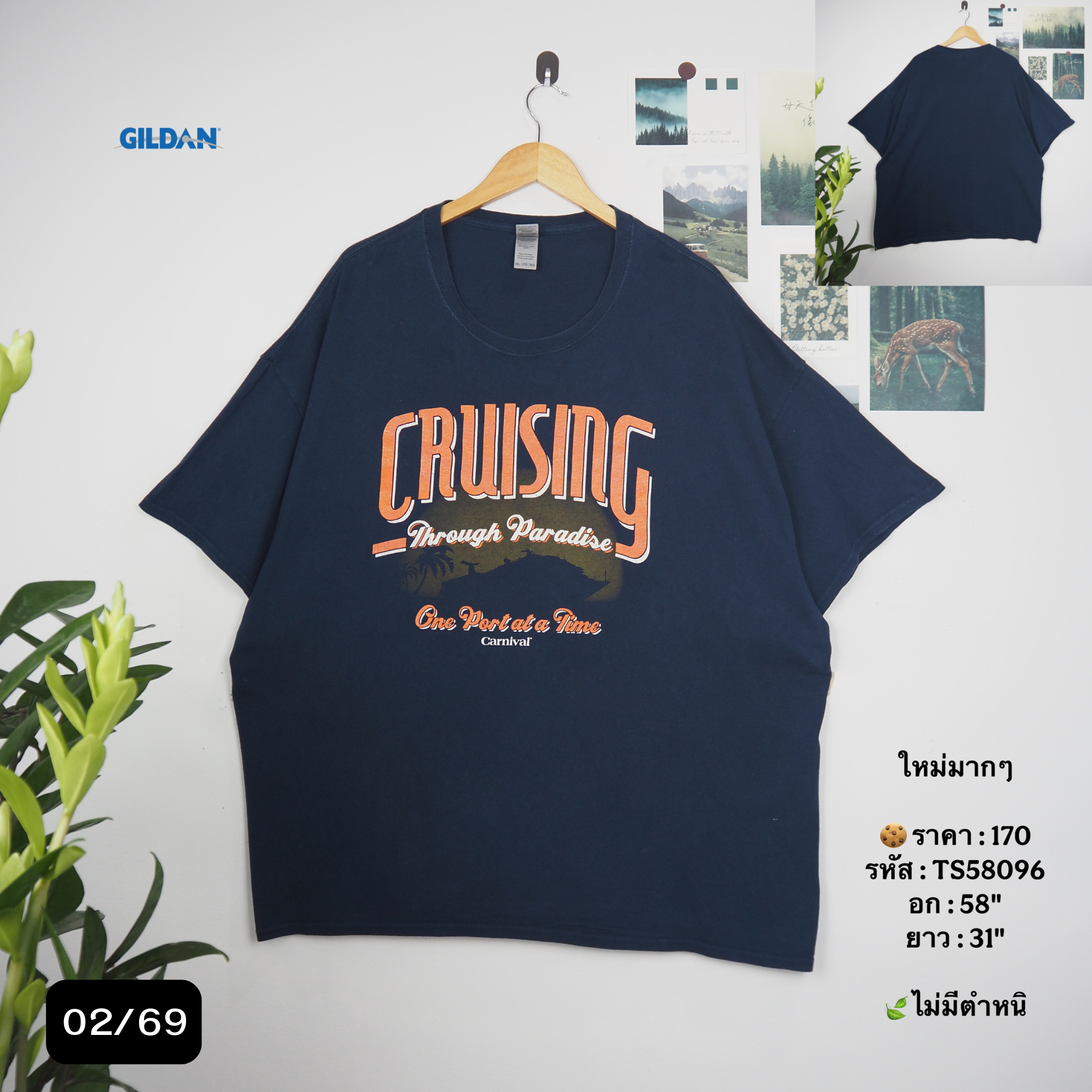 TS58096