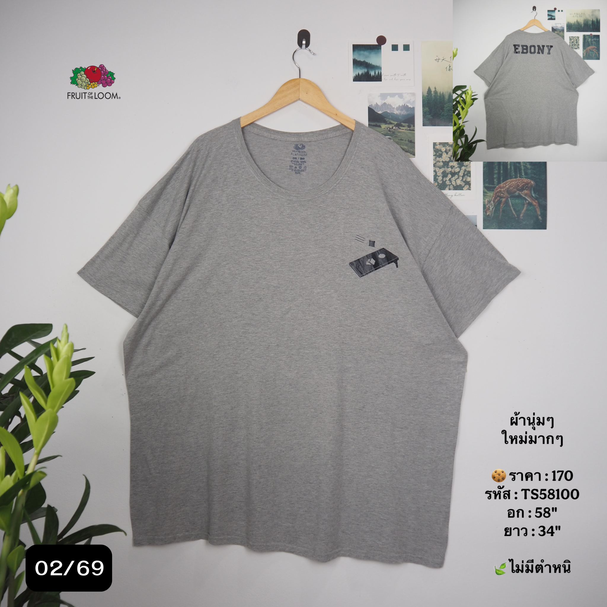 TS58100