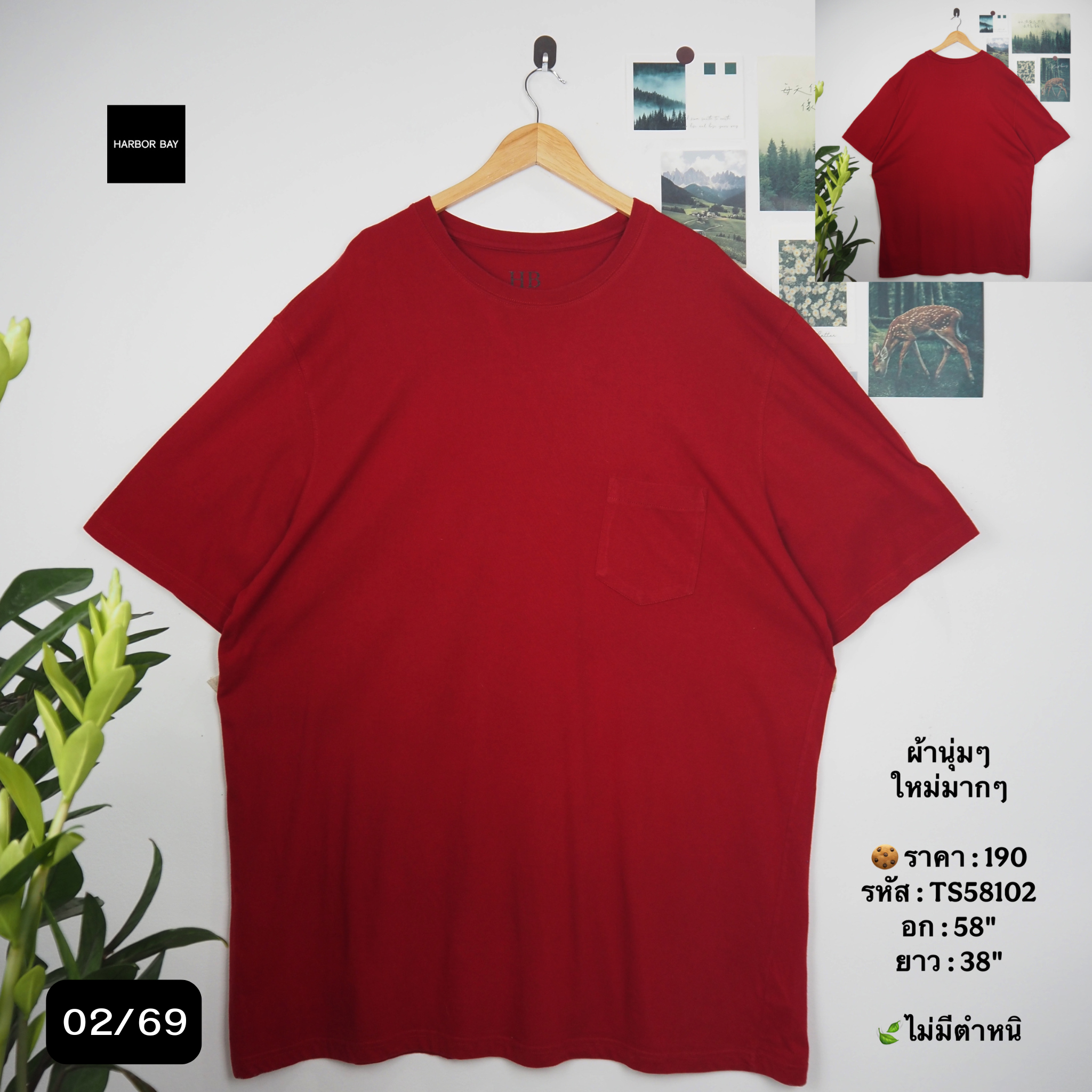 TS58102