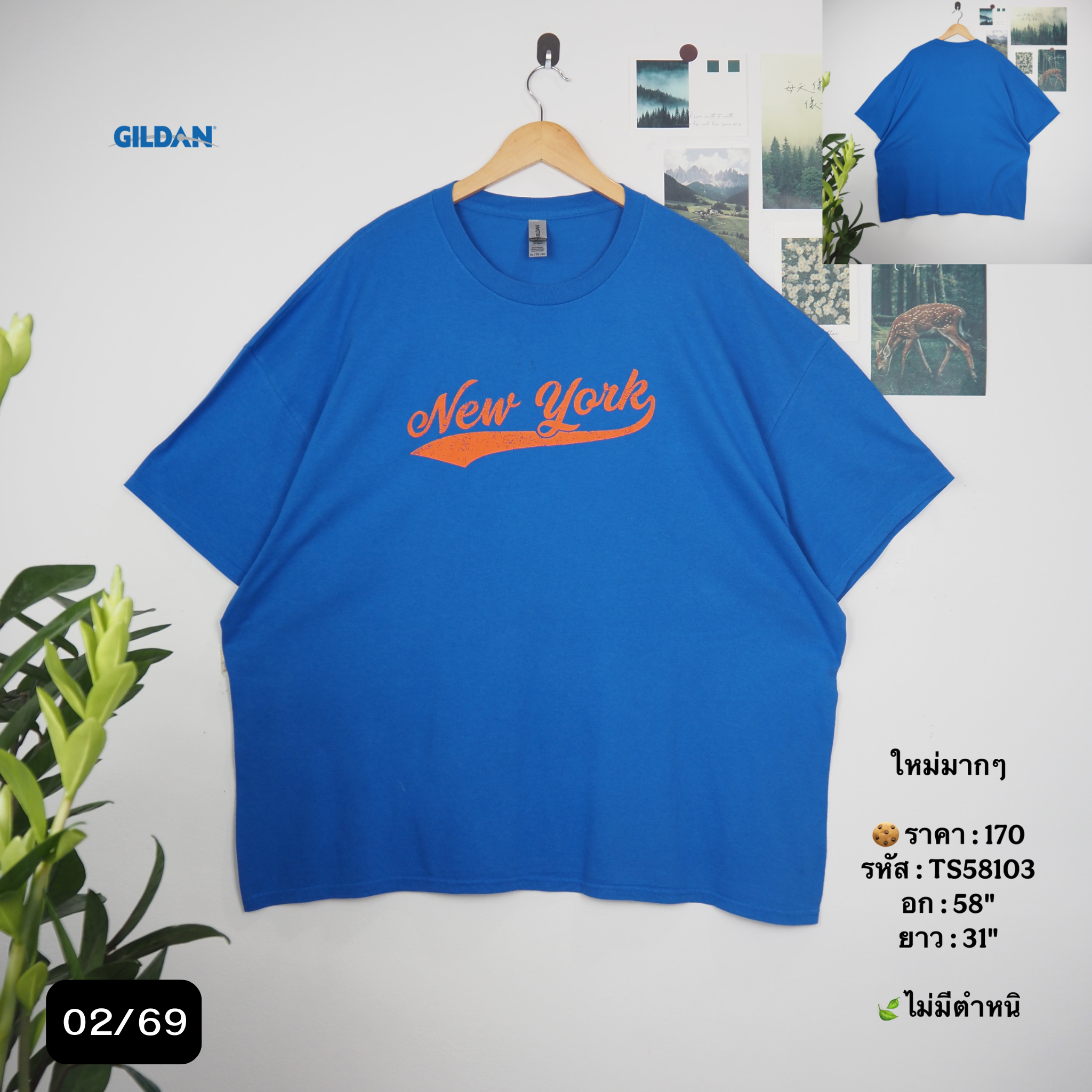 TS58103