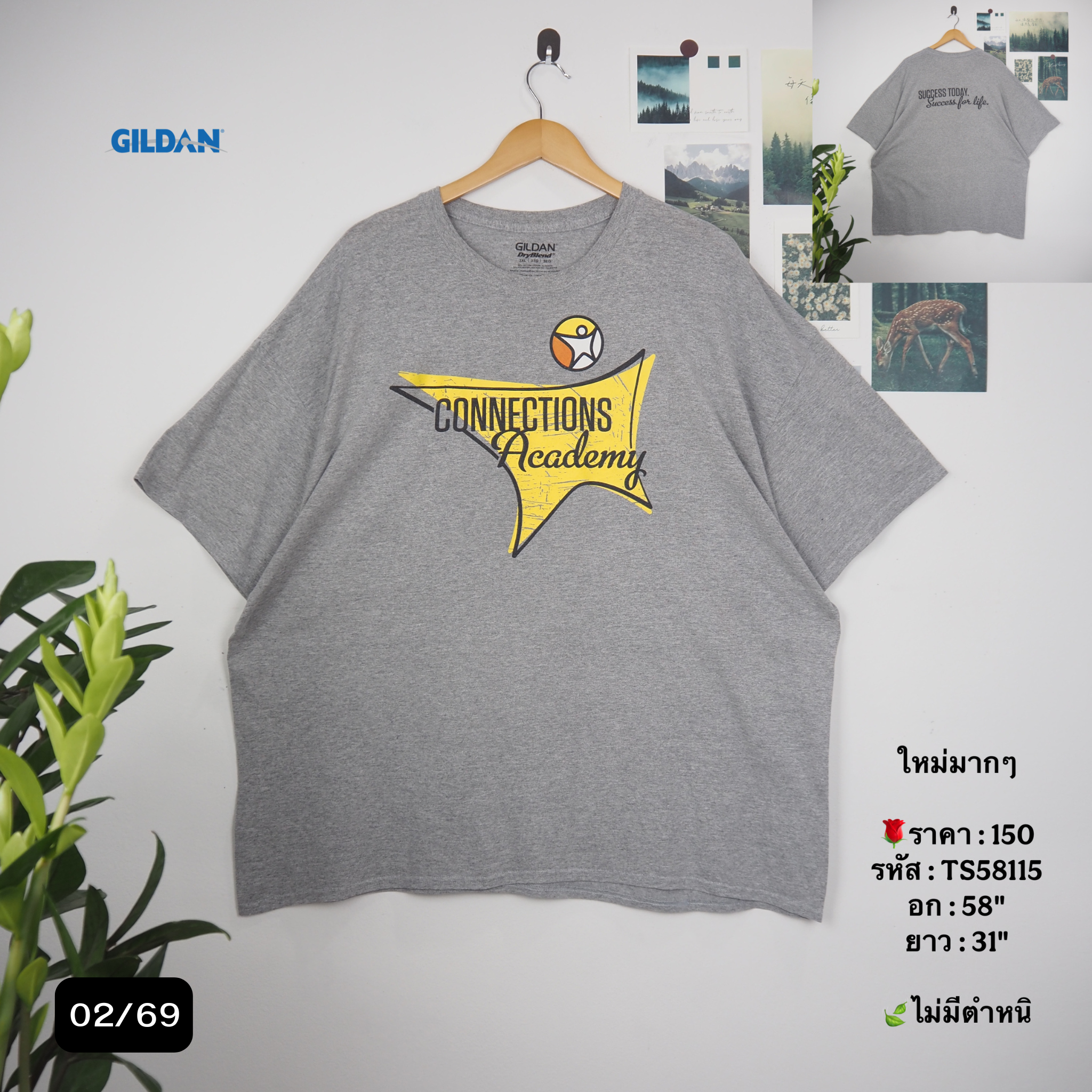 TS58115