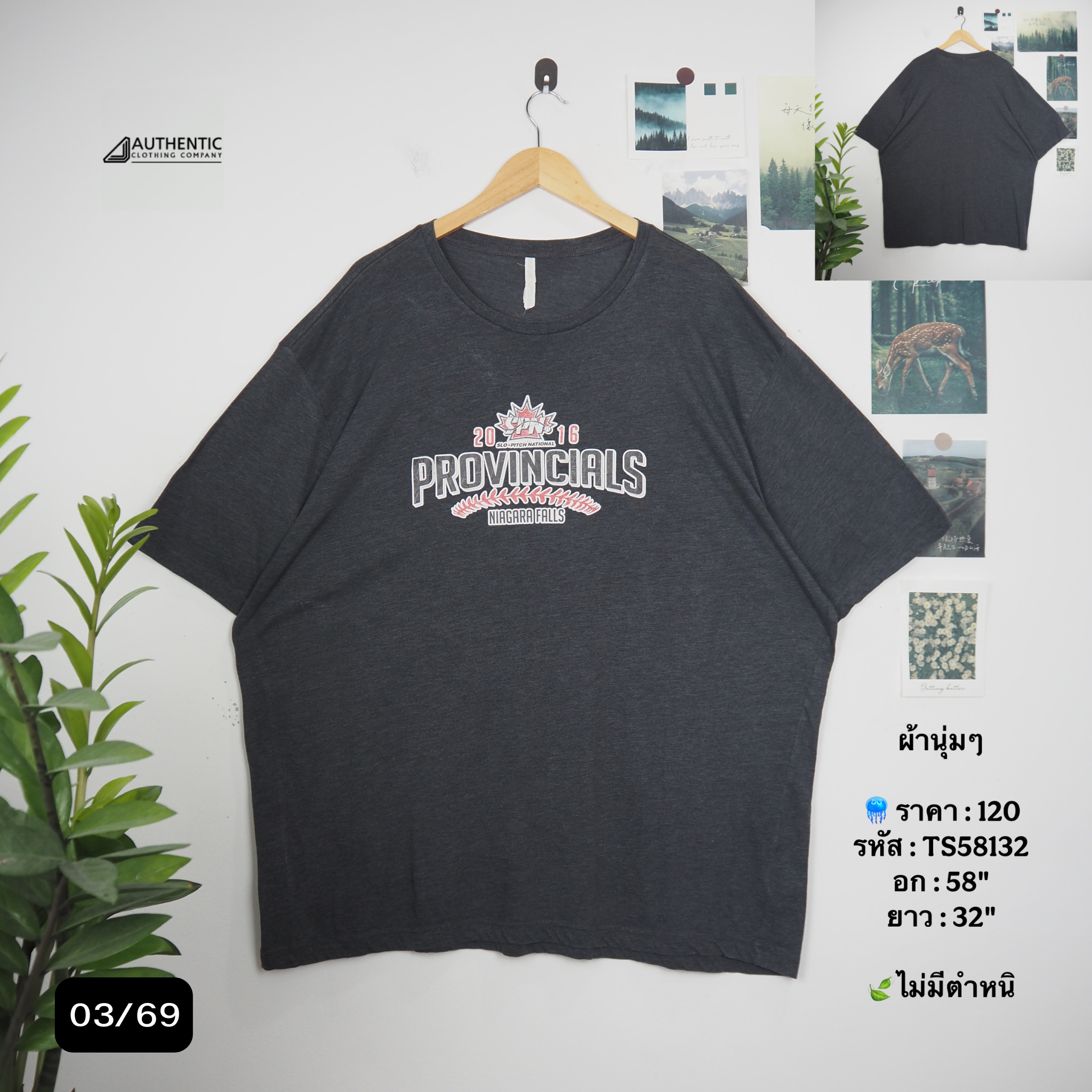 TS58132