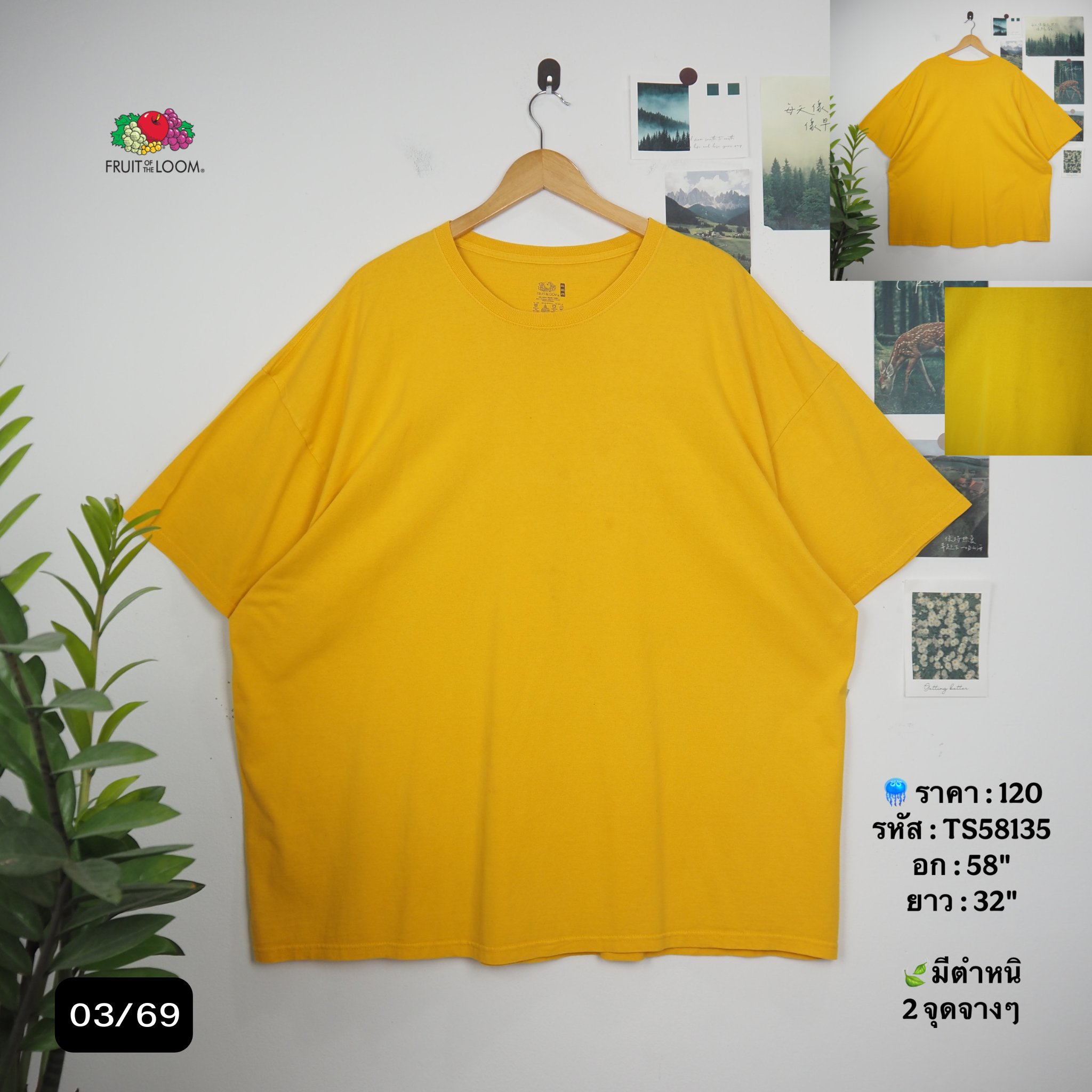TS58135