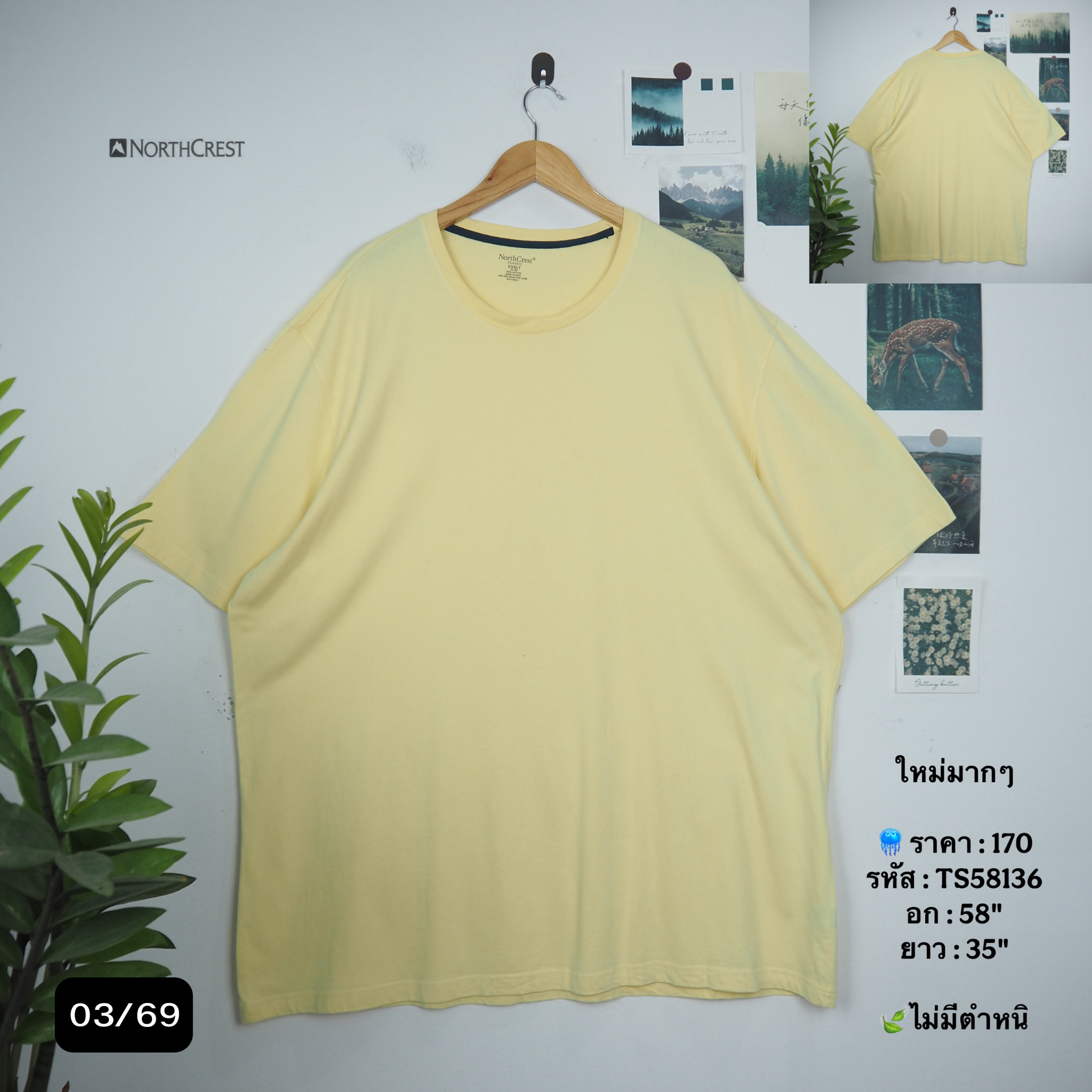 TS58136