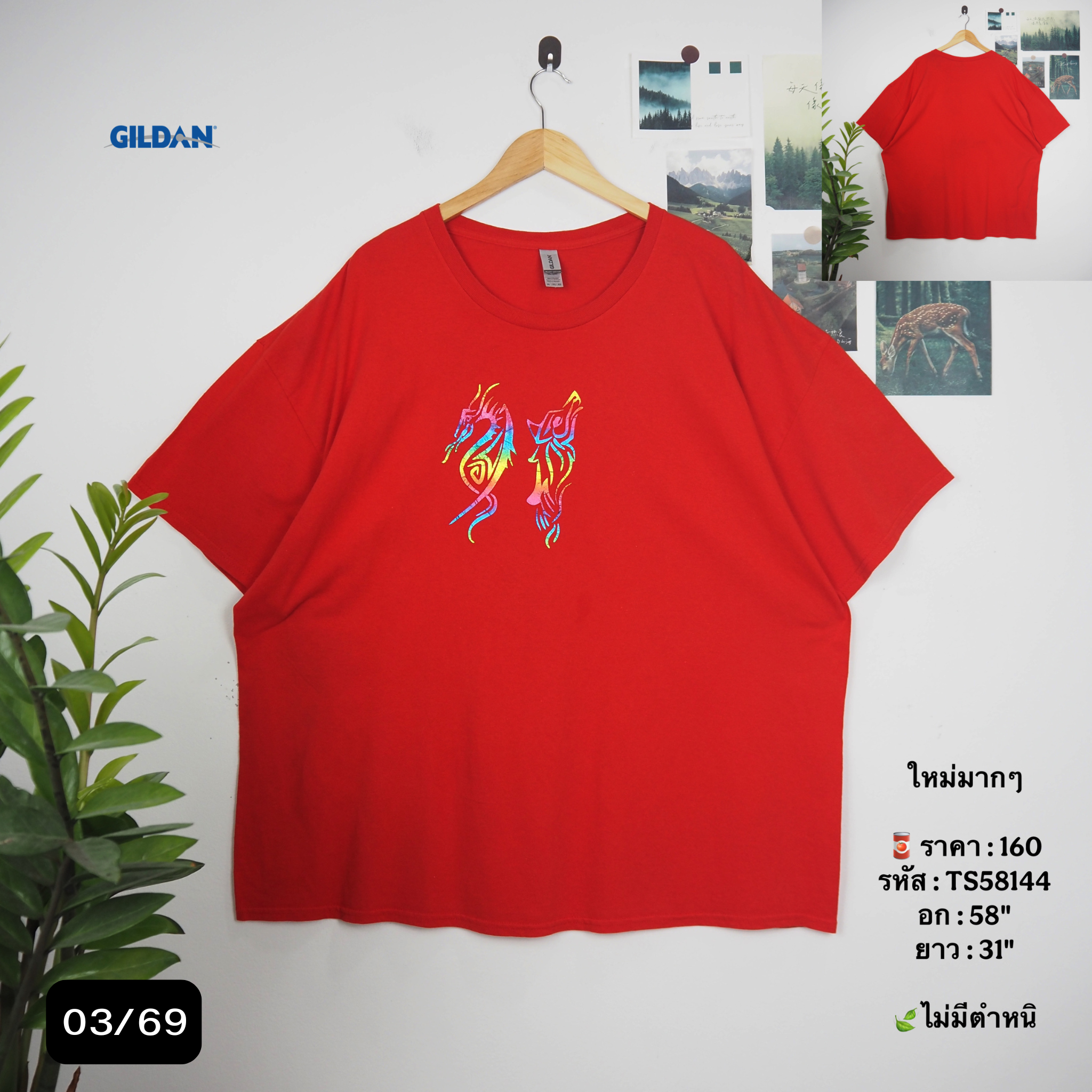TS58144