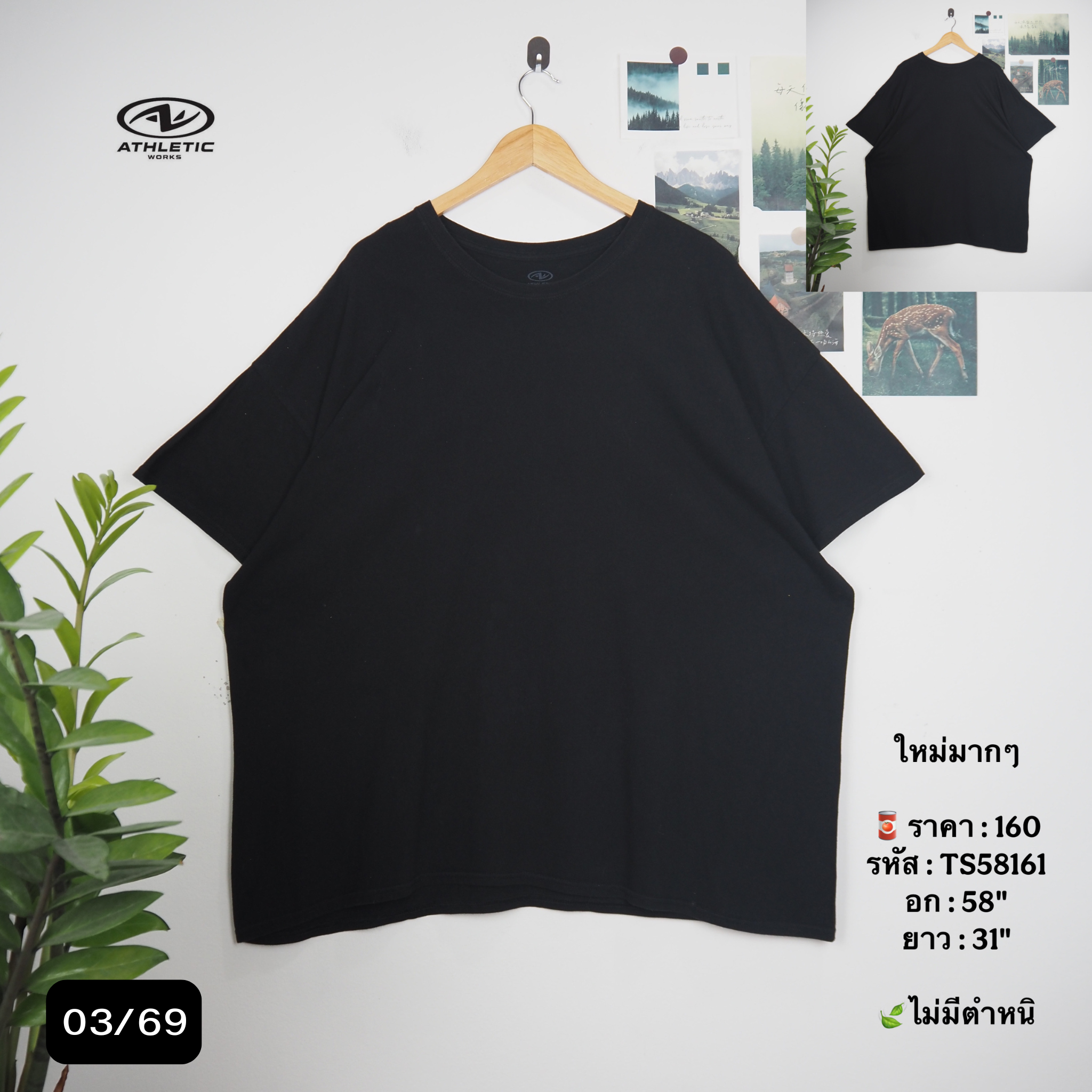 TS58161