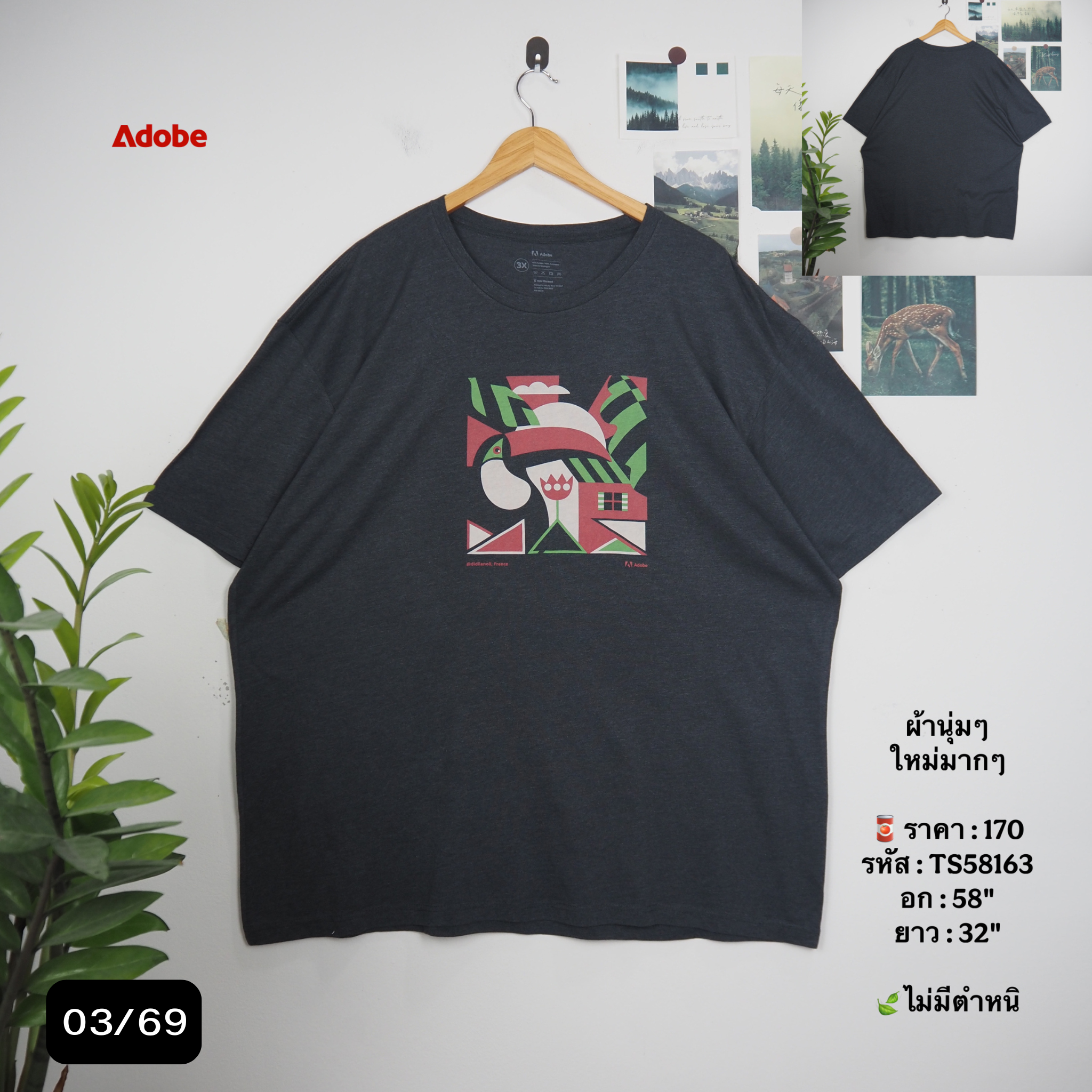 TS58163