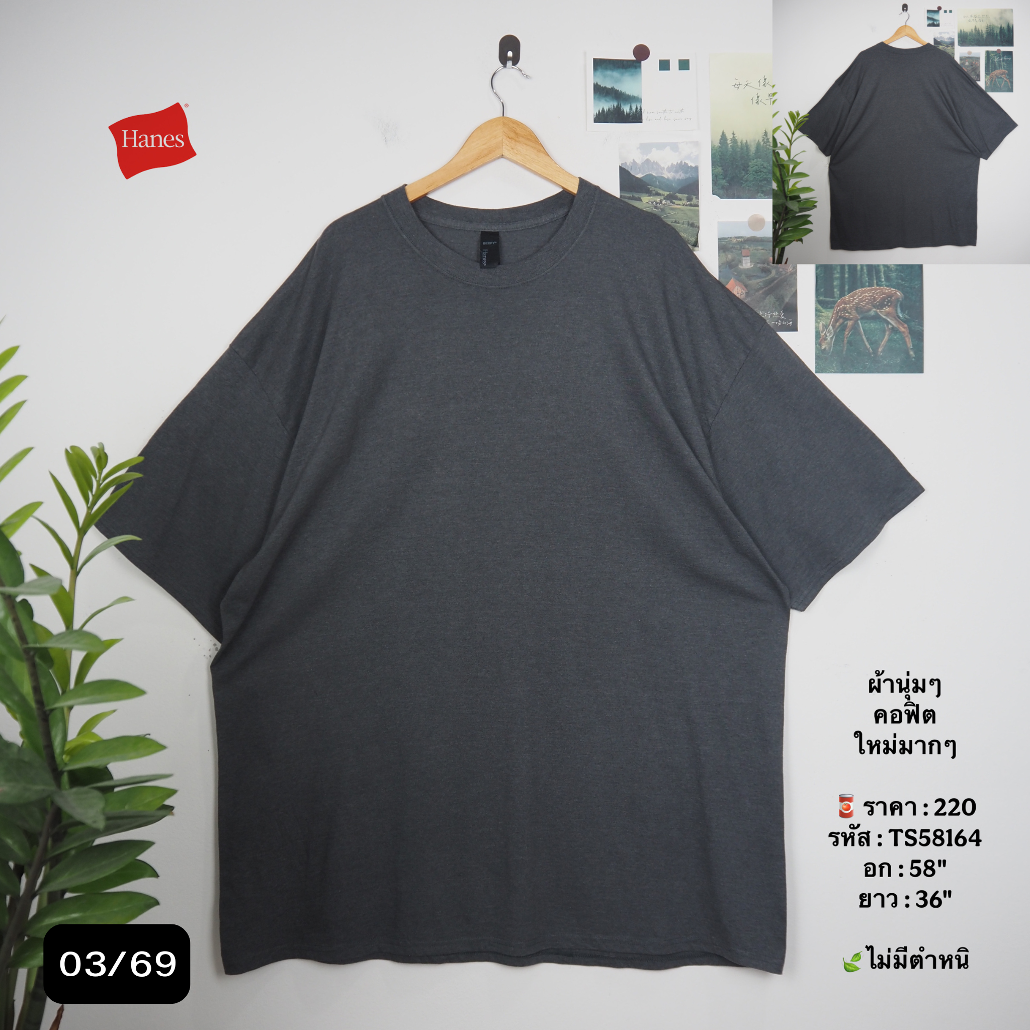 TS58164
