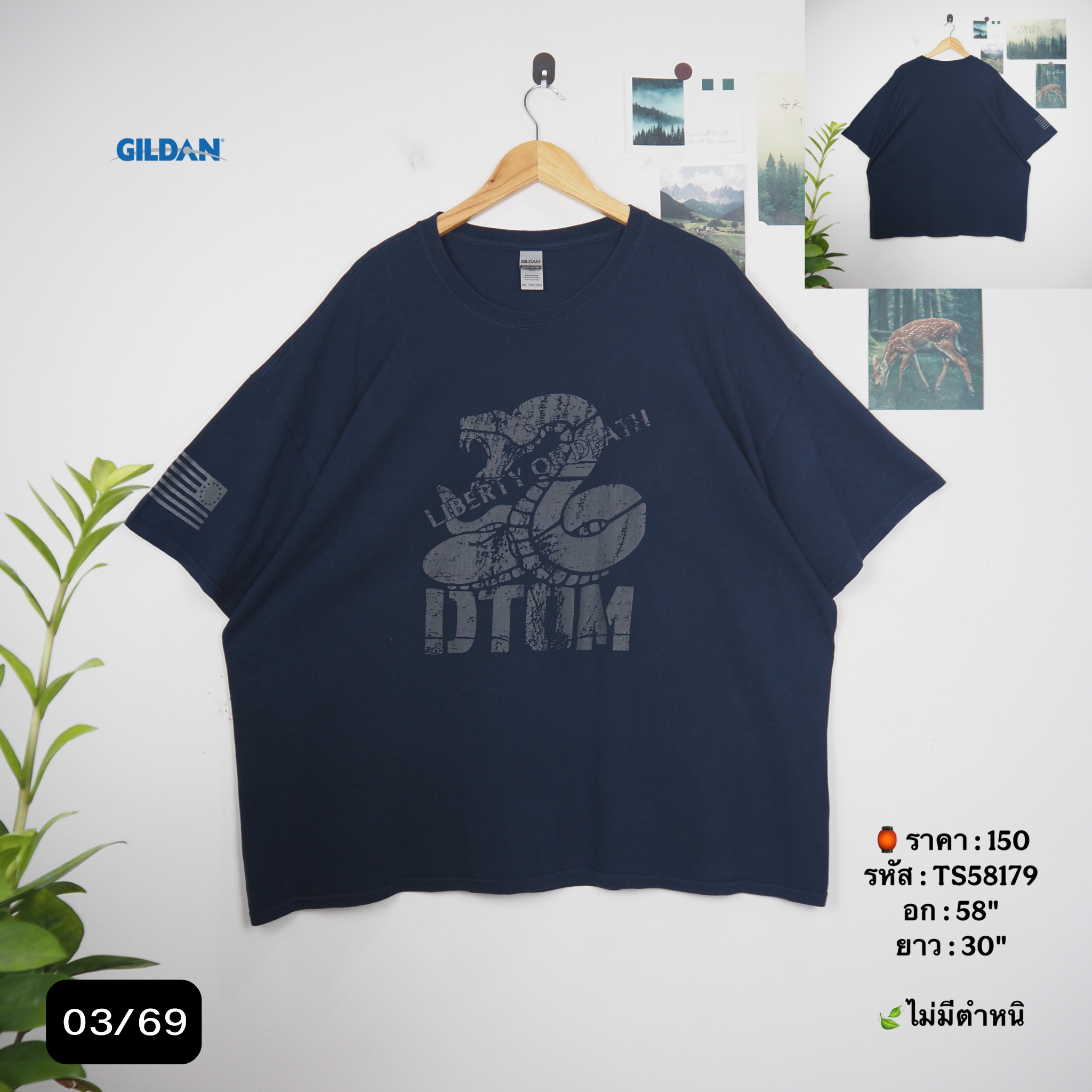 TS58179