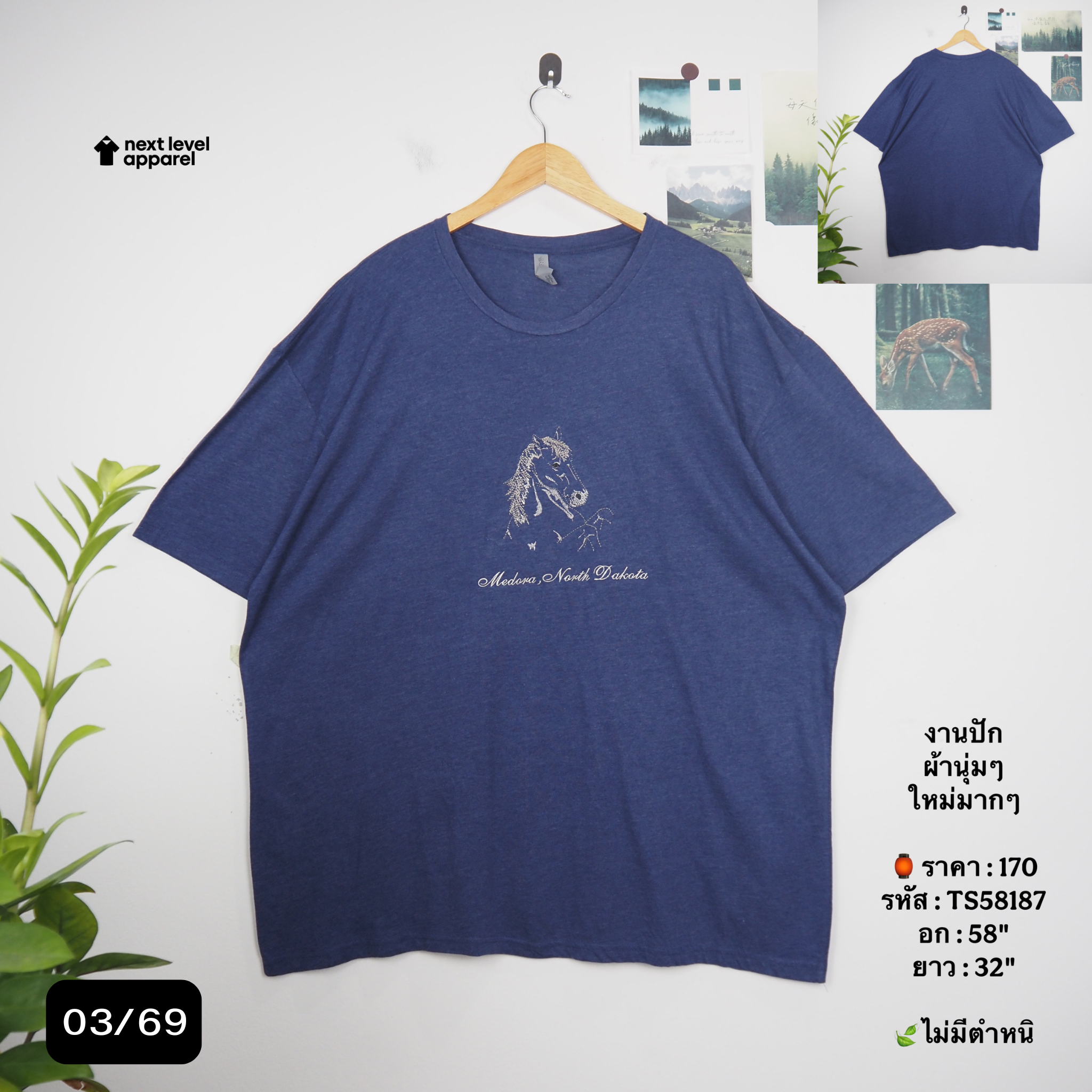 TS58187