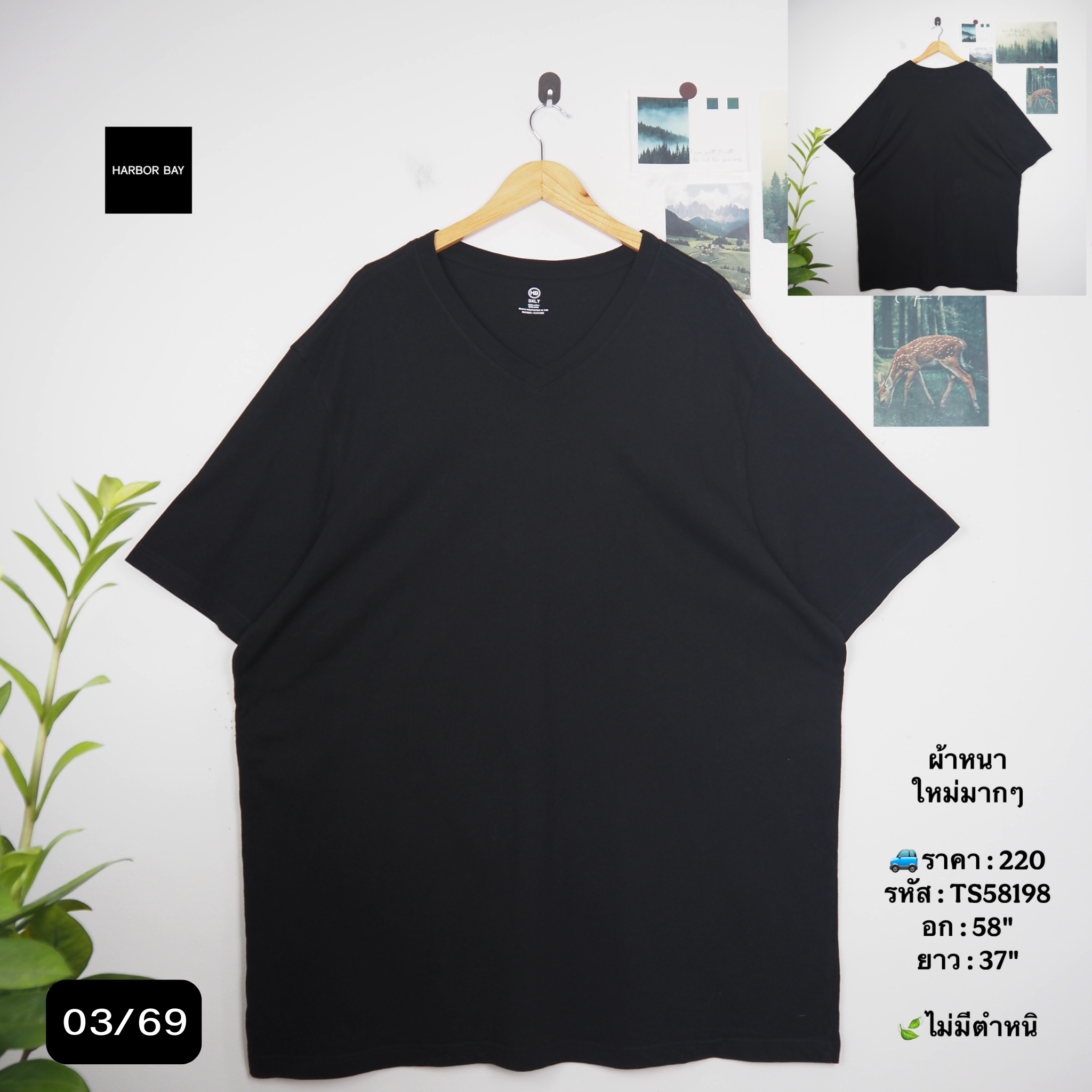 TS58198