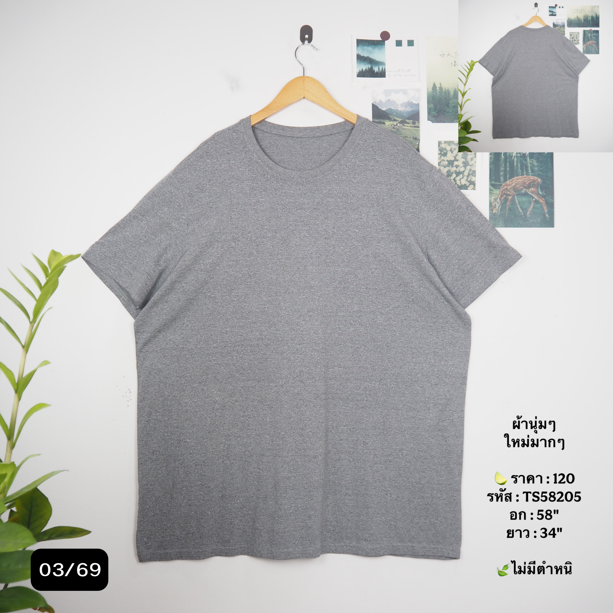 TS58205