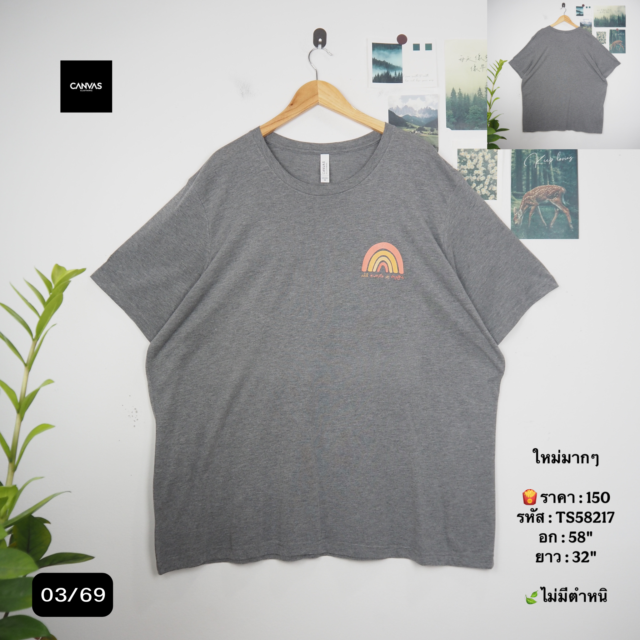 TS58217
