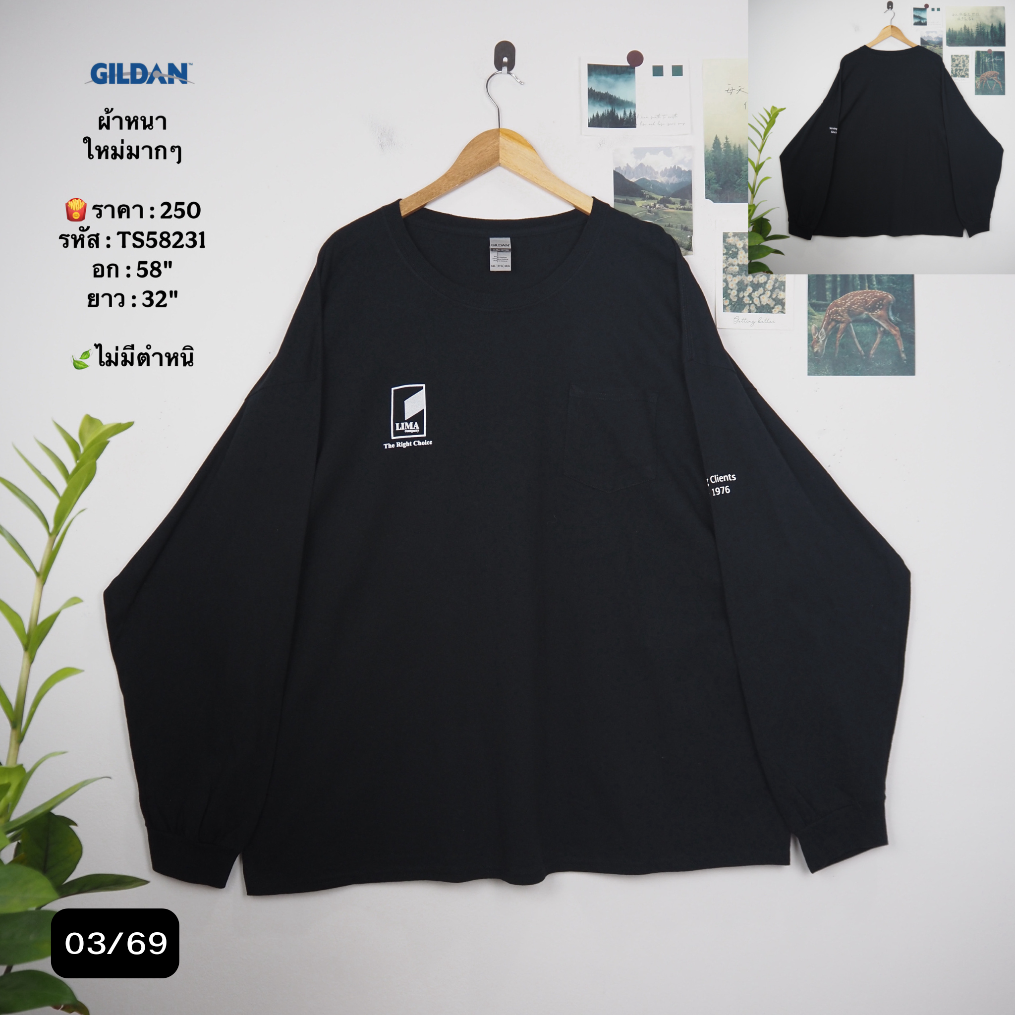 TS58231