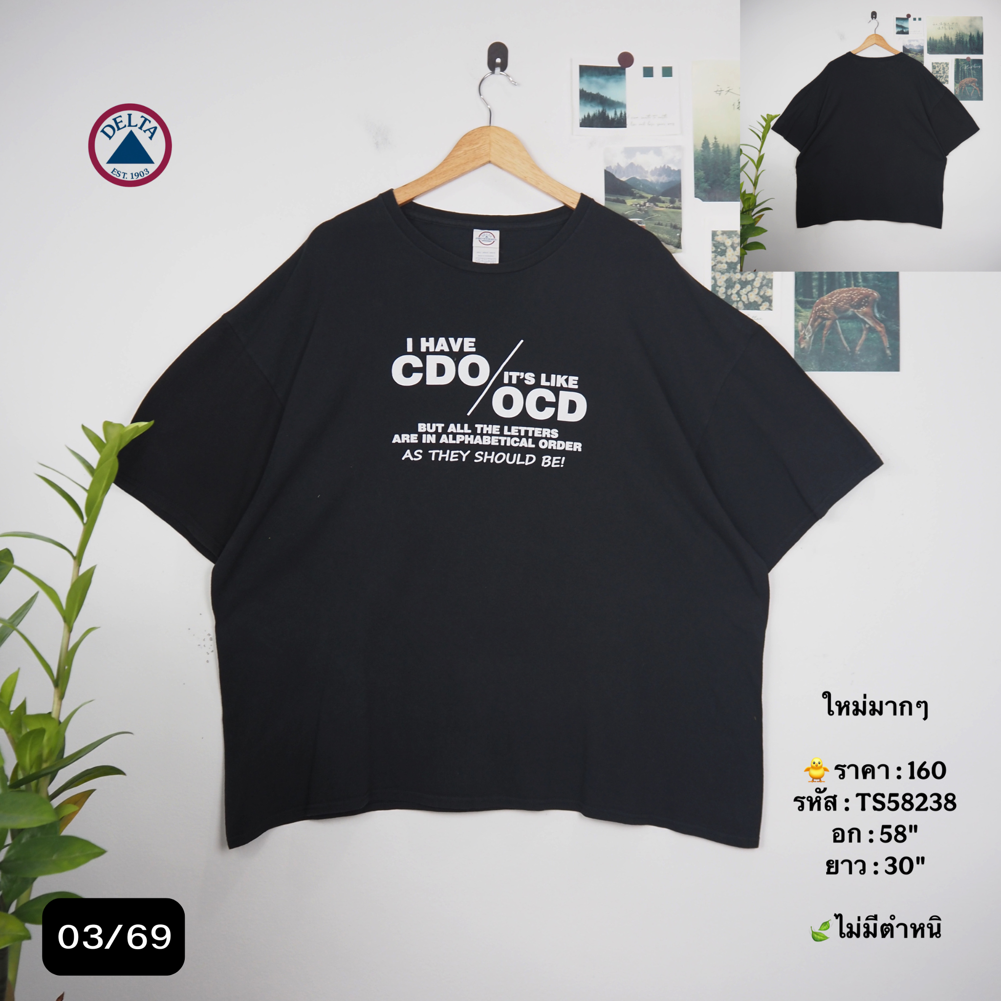 TS58238