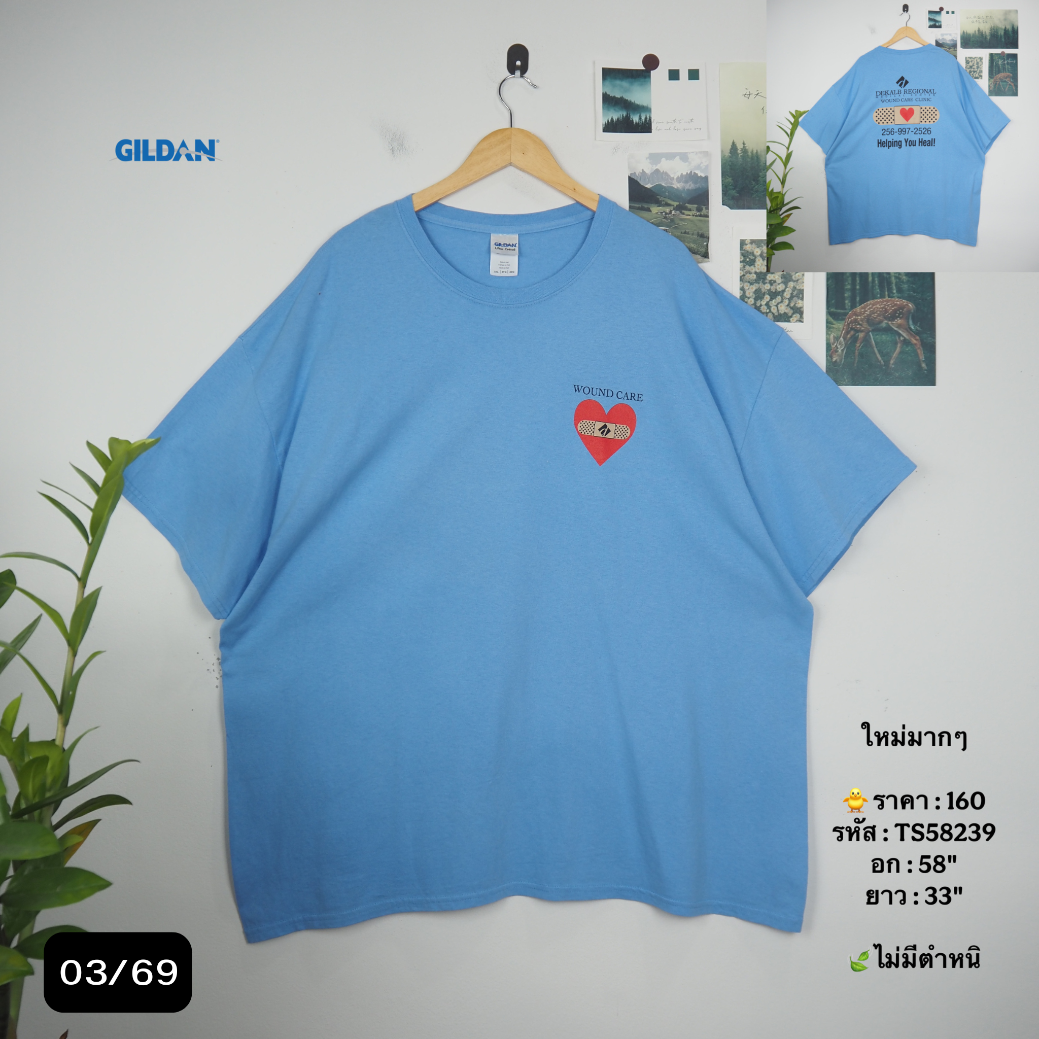 TS58239