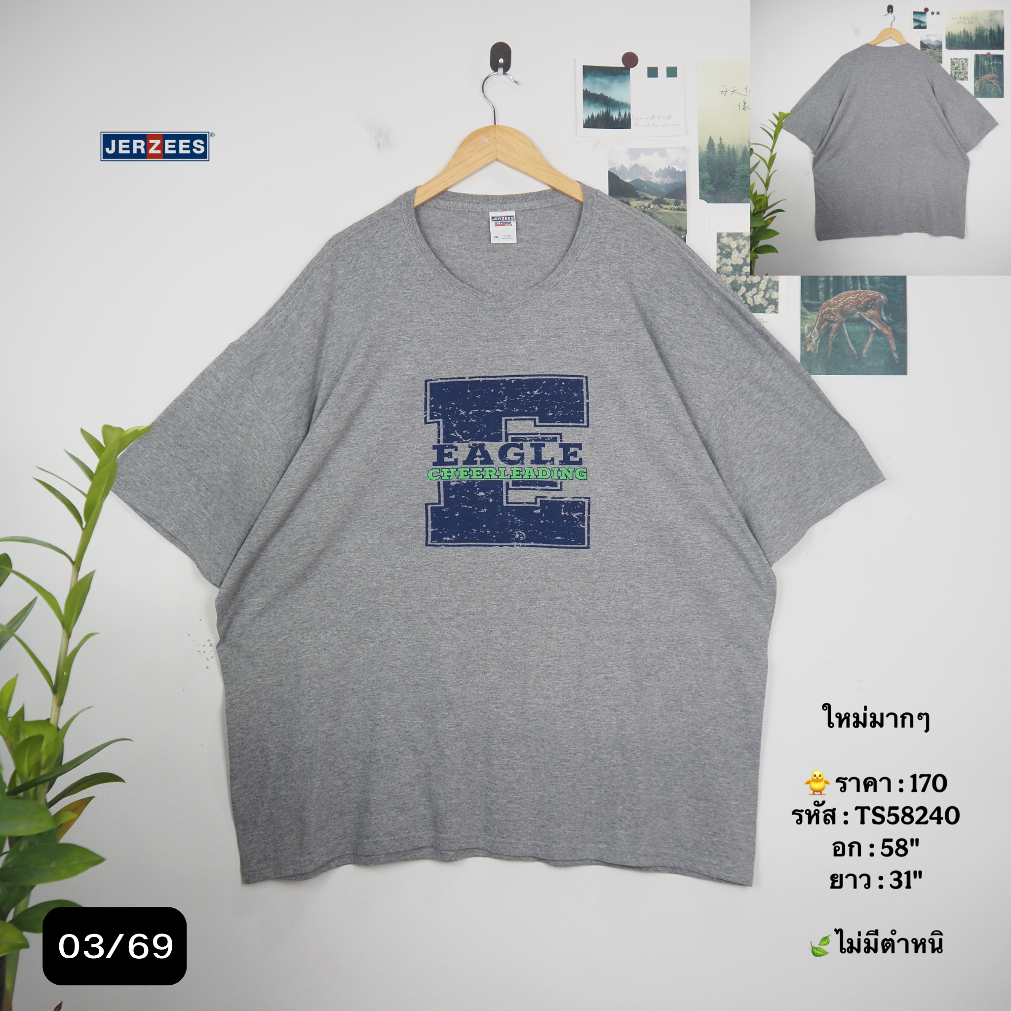 TS58240