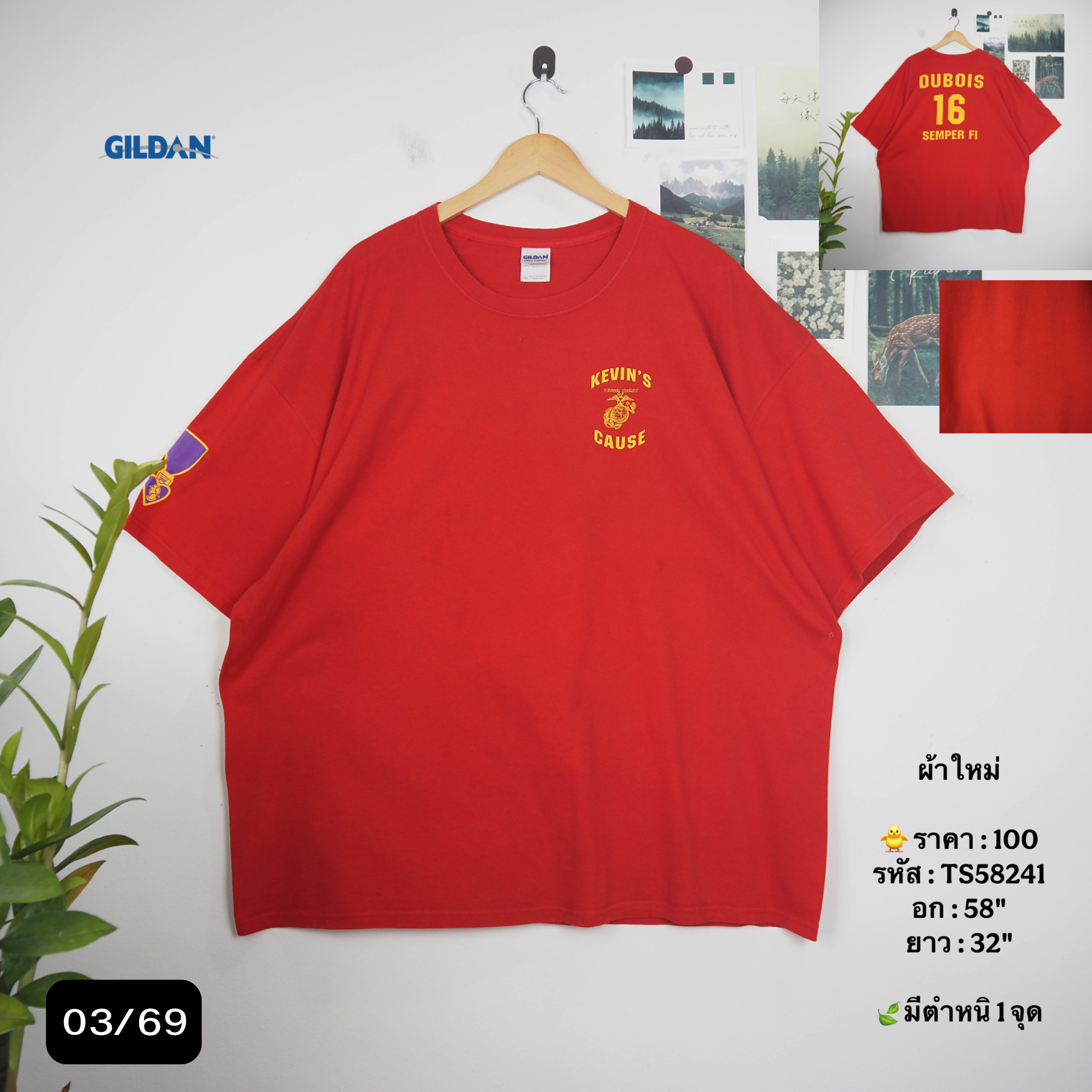 TS58241