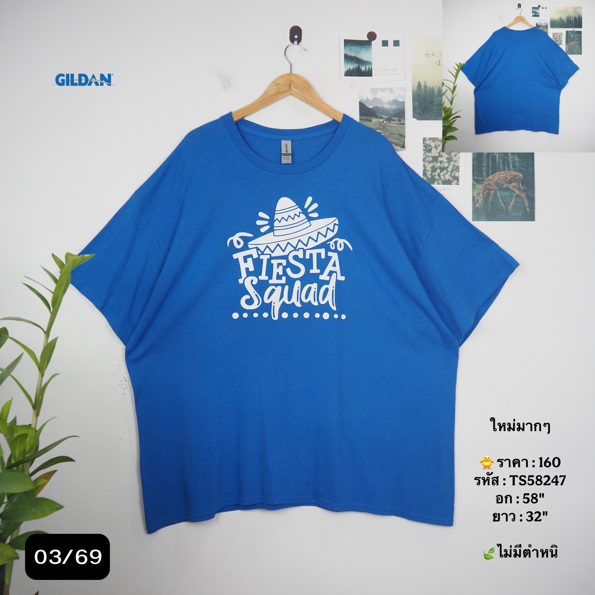 TS58247