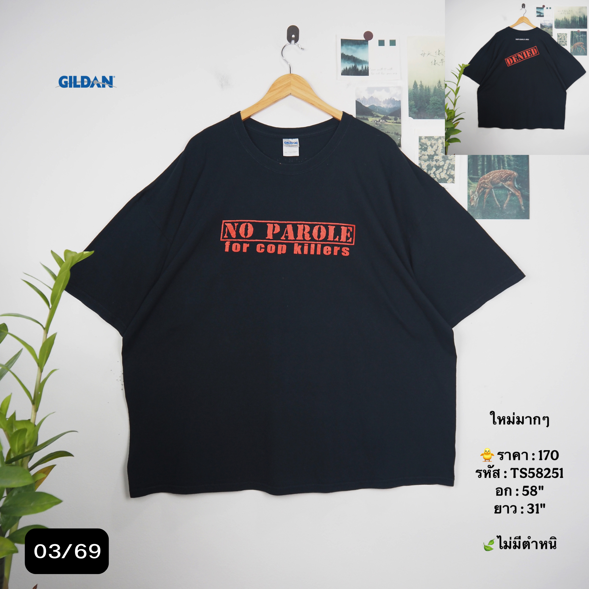 TS58251